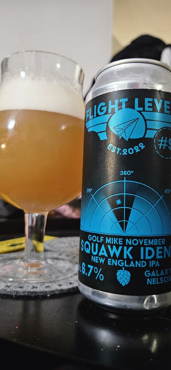 Golf Mike November Squawk Ident, Finland