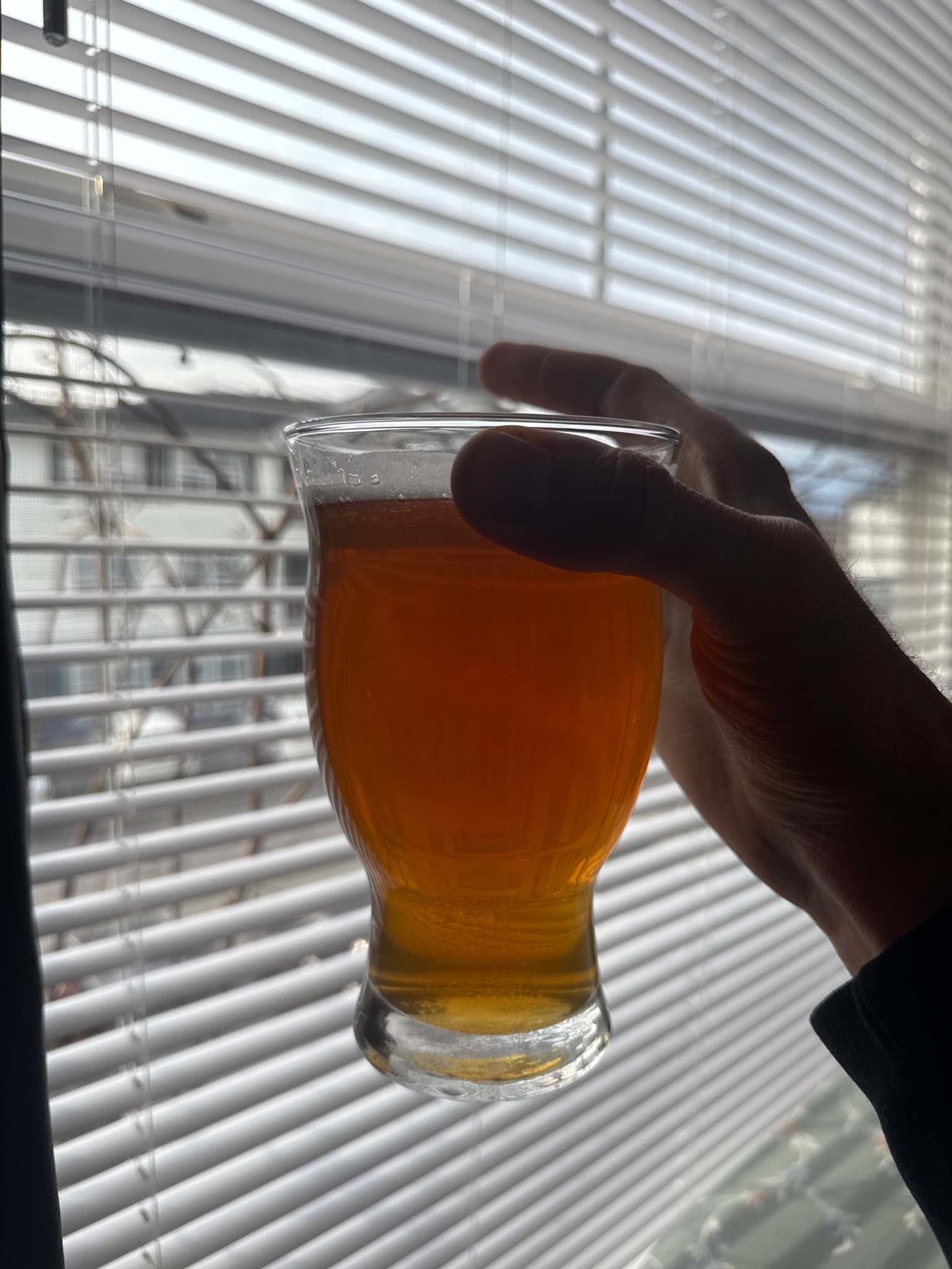 Class iii whitewater ipa, Screech owl brewing