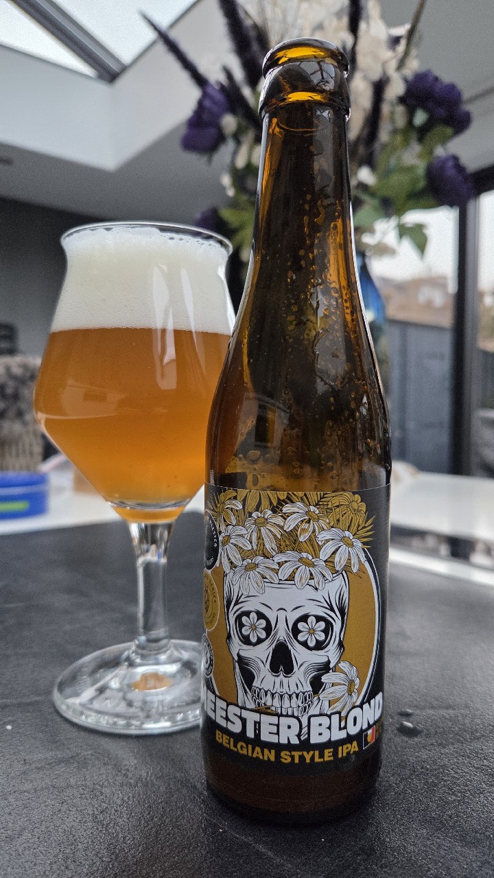 Meester Blond IPA, Belgium