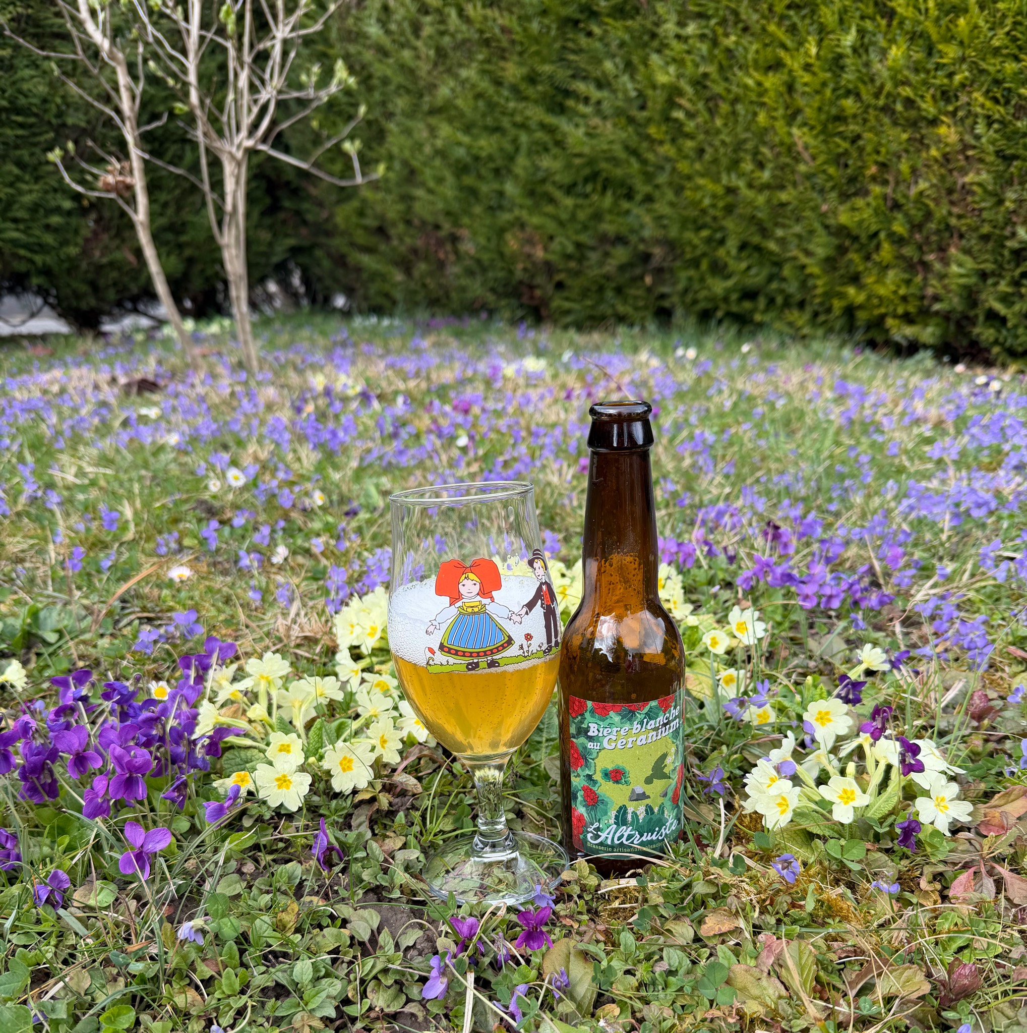 L'altruiste geranium, Brasserie L'Altruiste