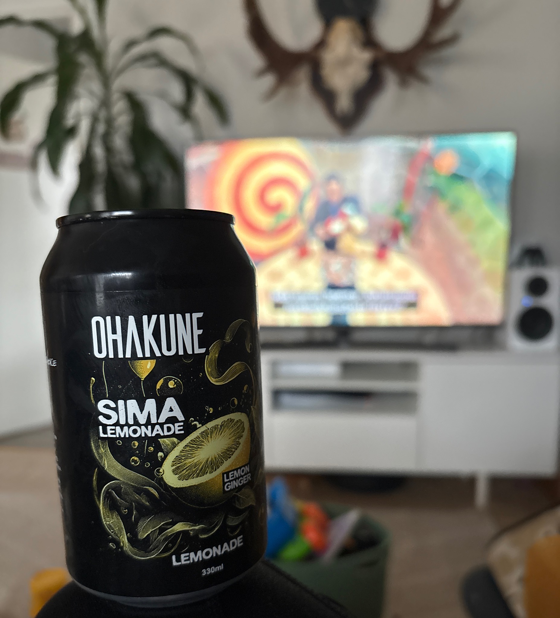Ohakune Sima, Ohakune Oy
