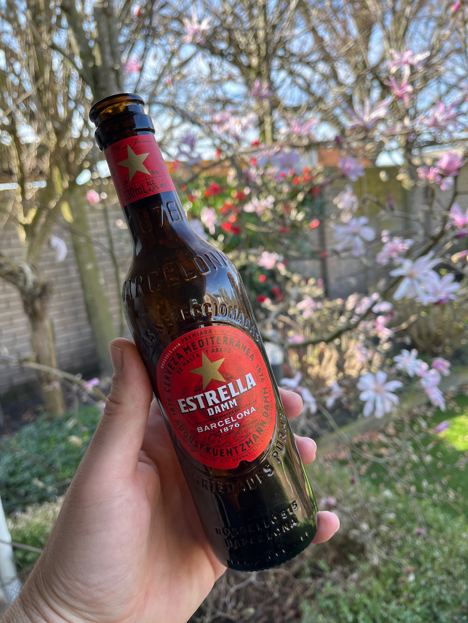 Estrella Damm, Damm