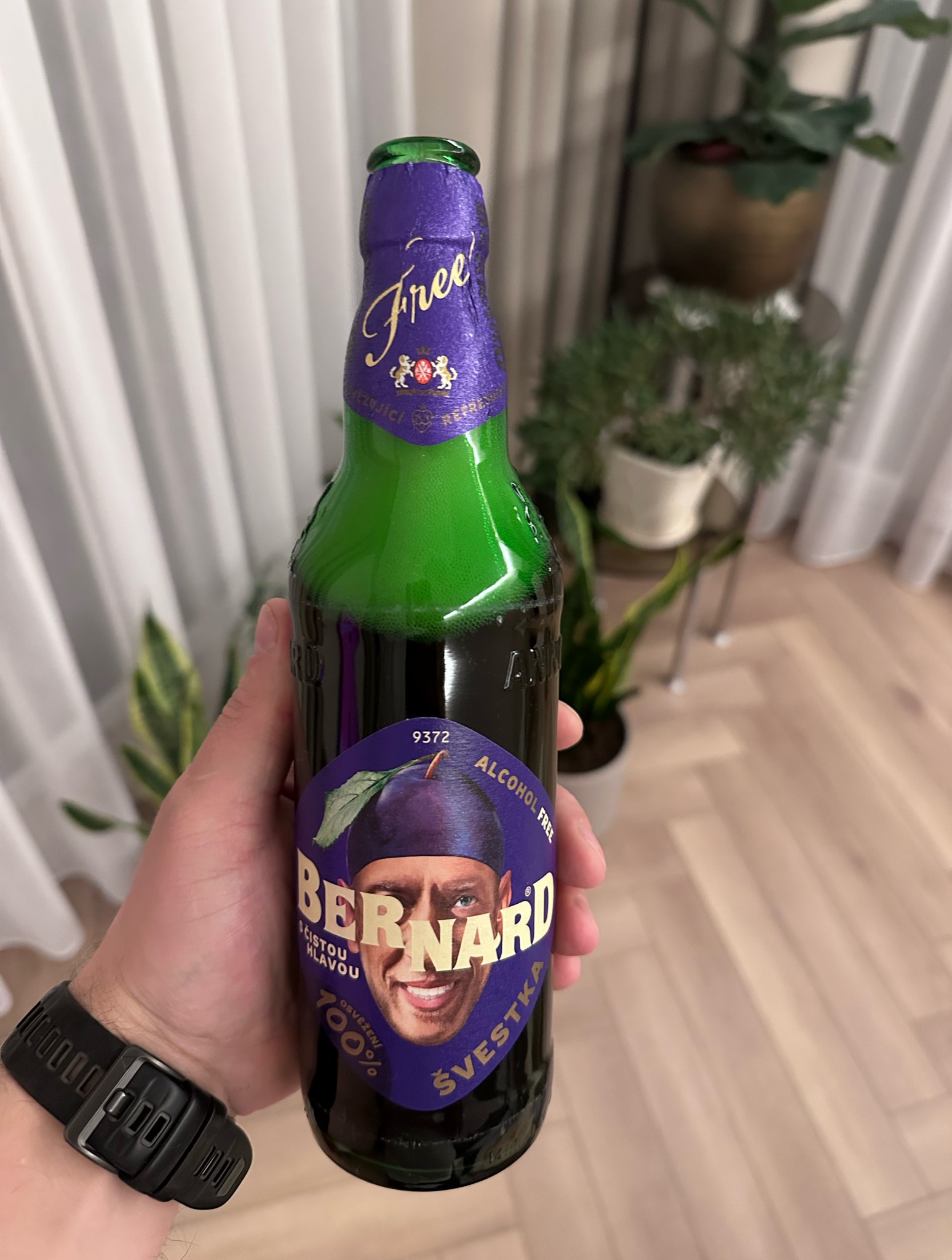 Bernard švestka, Czech Republic