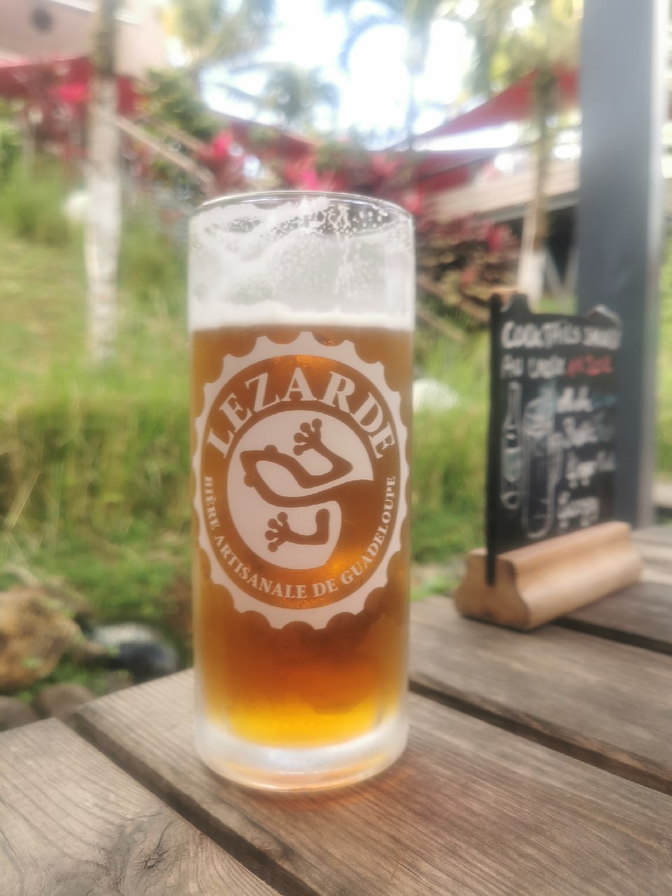 Lézarde IPA 45, Guadeloupe