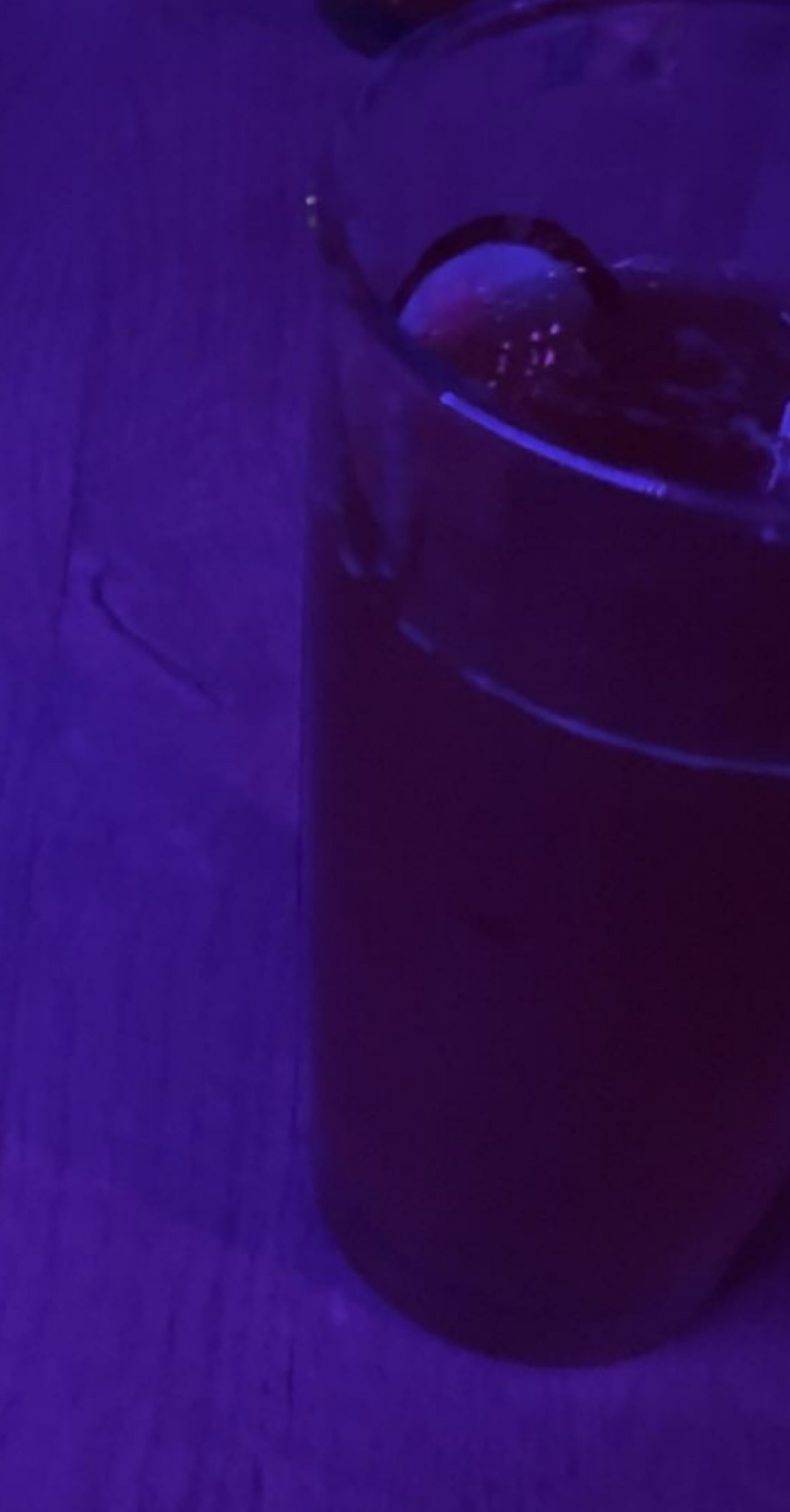 Sans Concession, France