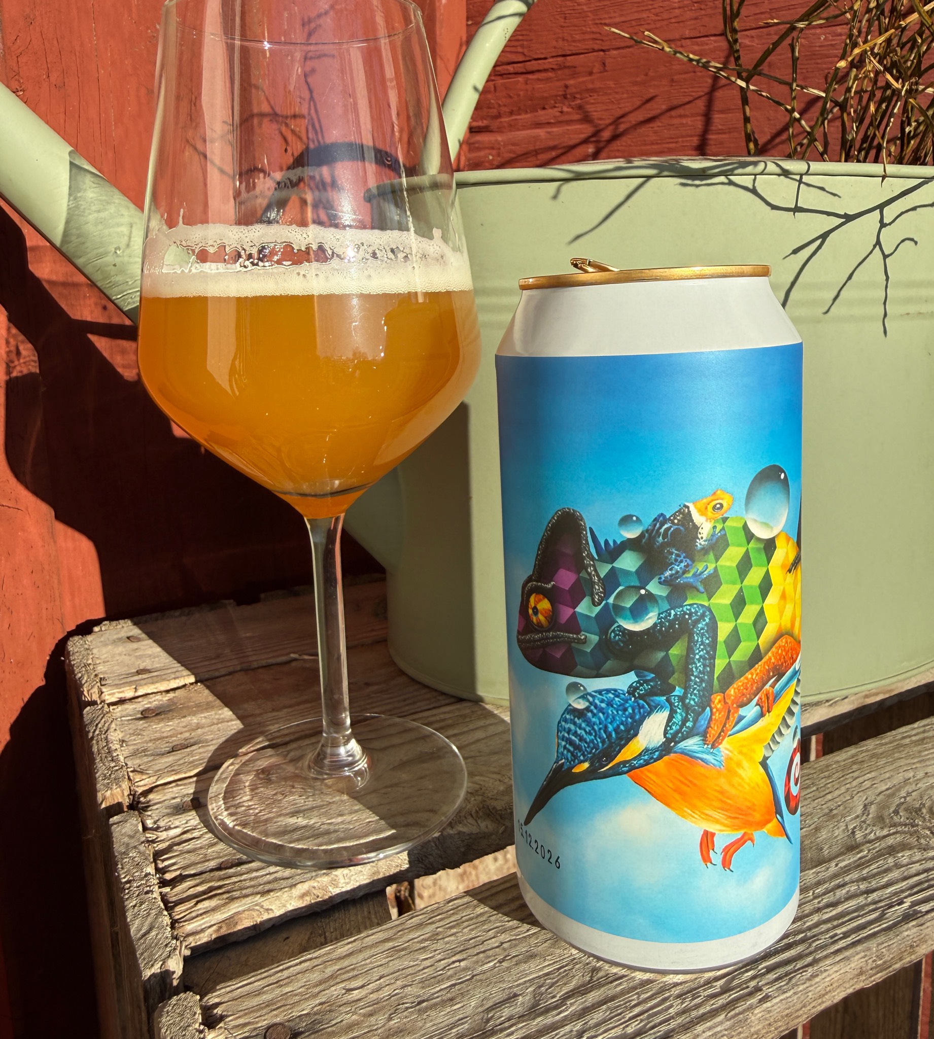 Lizard Express, Benchwarmers Brewing Co