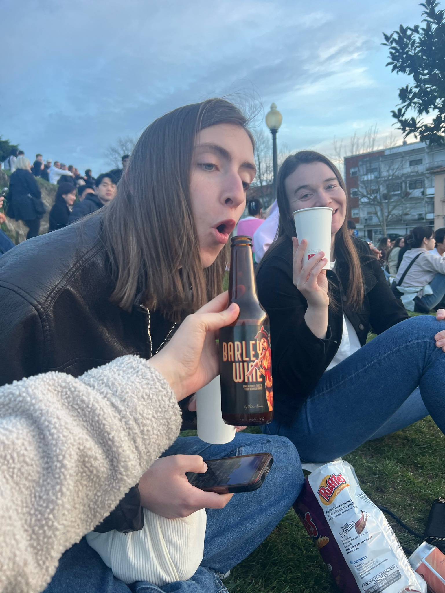 Barley Wine Barrel Aged em Tawny, Post Scriptum Brewery