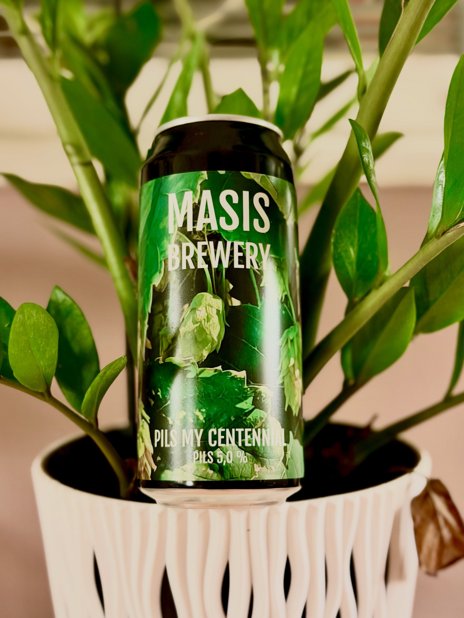Pils My Centennial, Masis Brewery