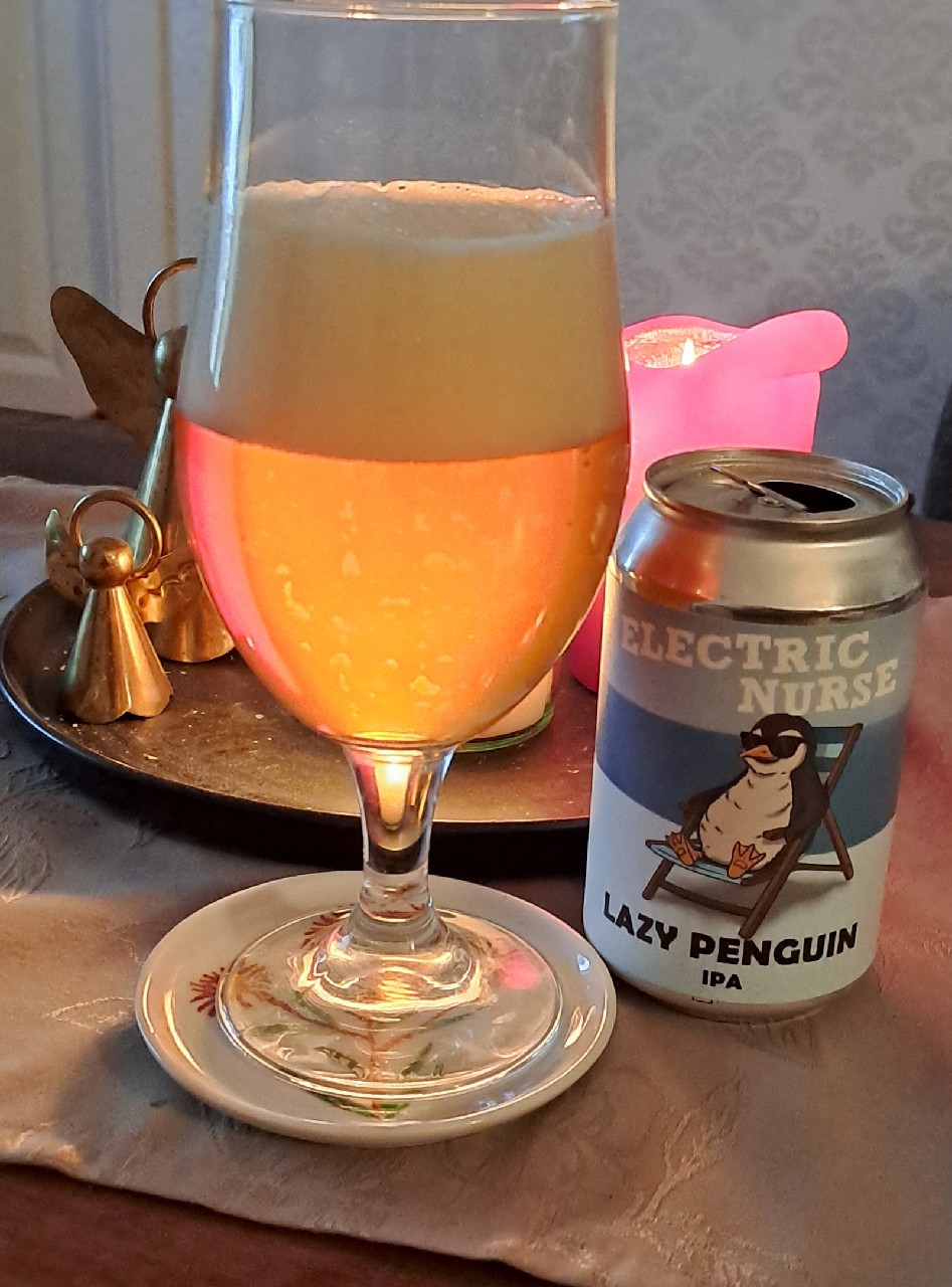 Lazy penguin, Electric Nurse