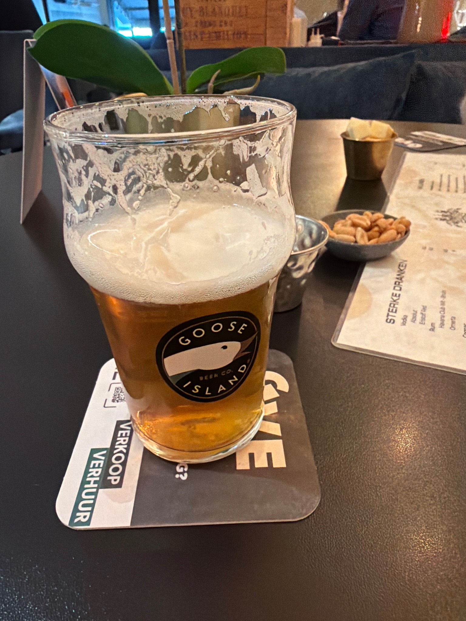 Goose Island IPA, United States