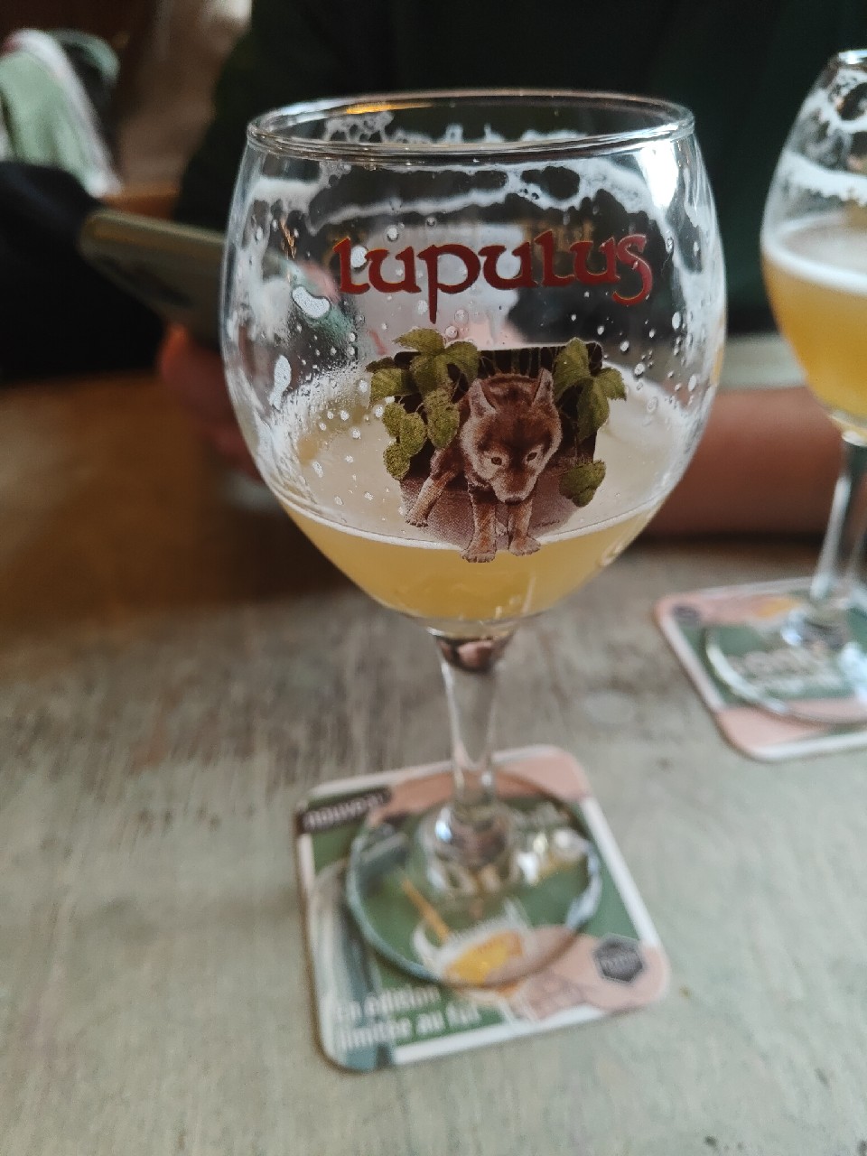 Lupulus 2026 Krush, Belgium