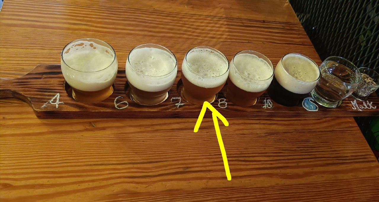 Canil NEIPA (2025), Portugal