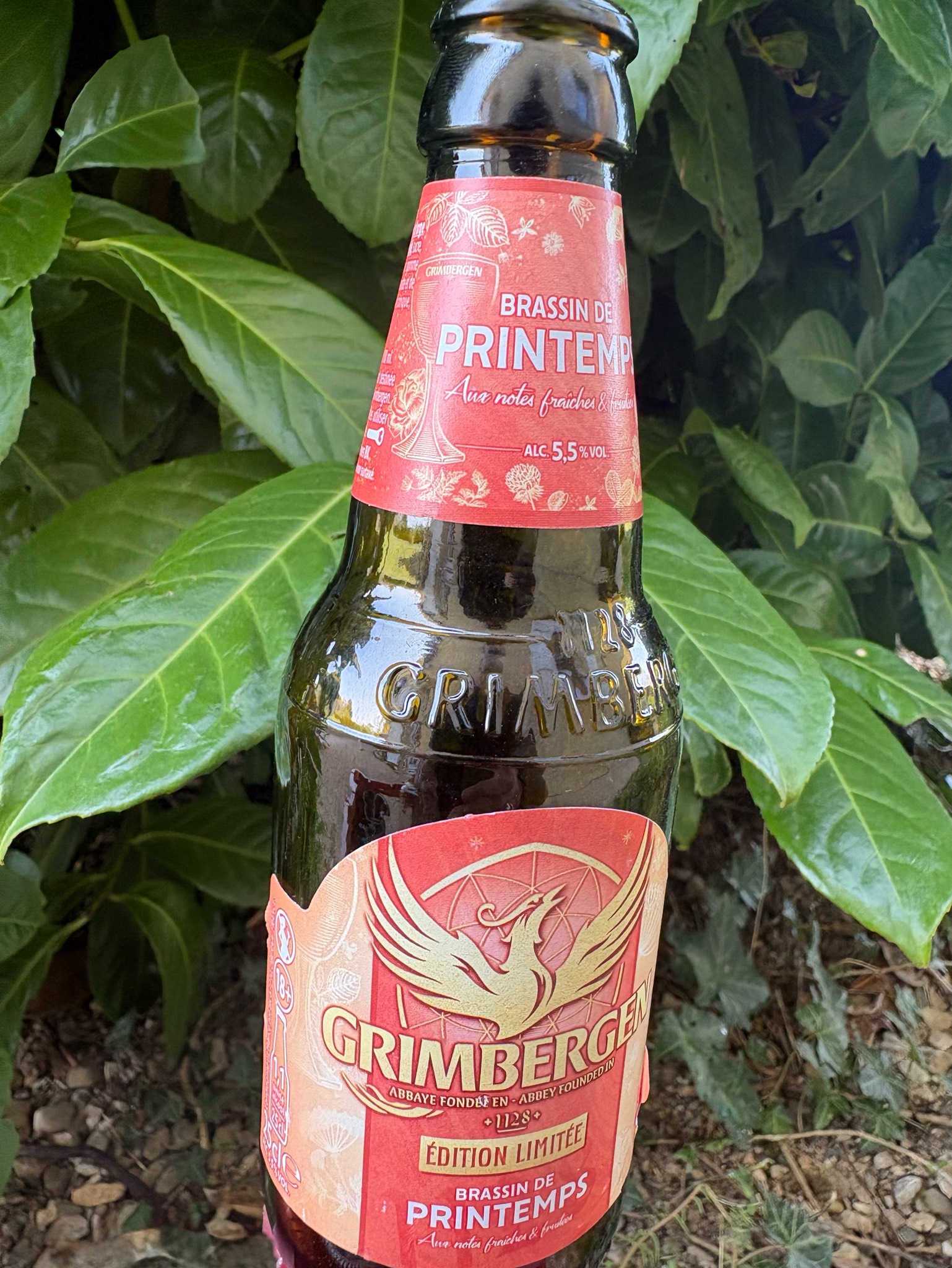 Grimbergen Brassin de Printemps, Belgium