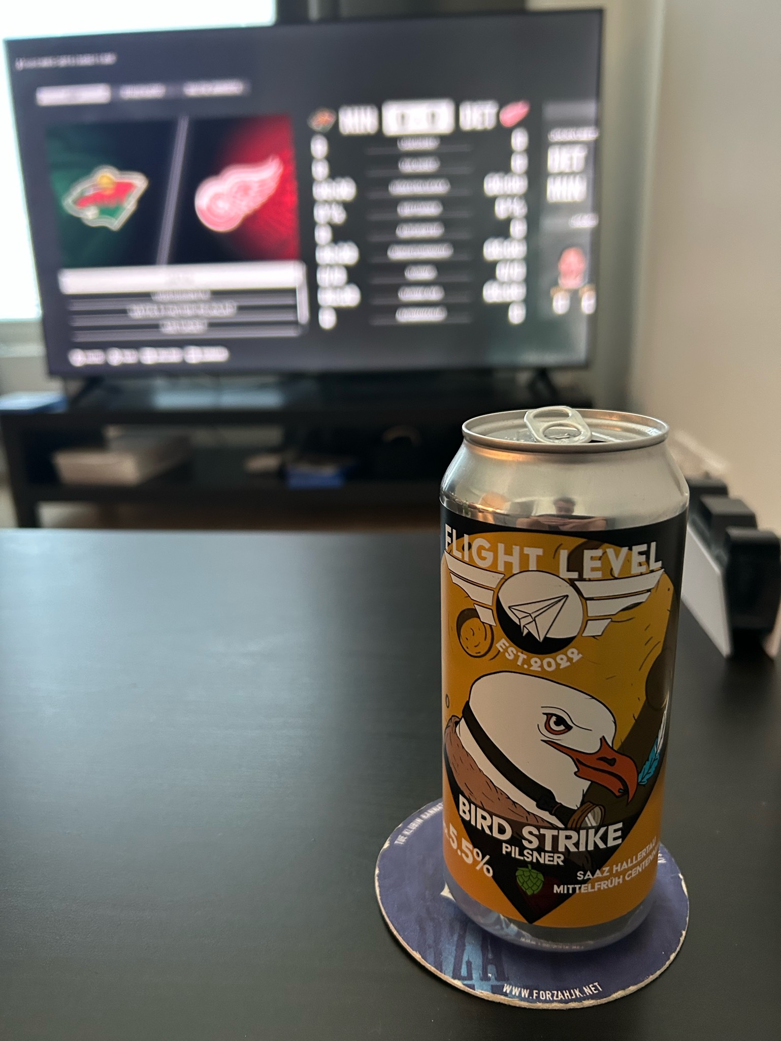 Bird Strike, Finland