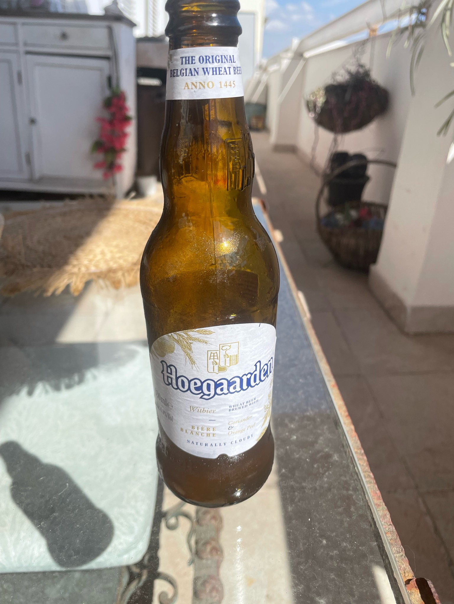 hoegaarden witbies, Belgium