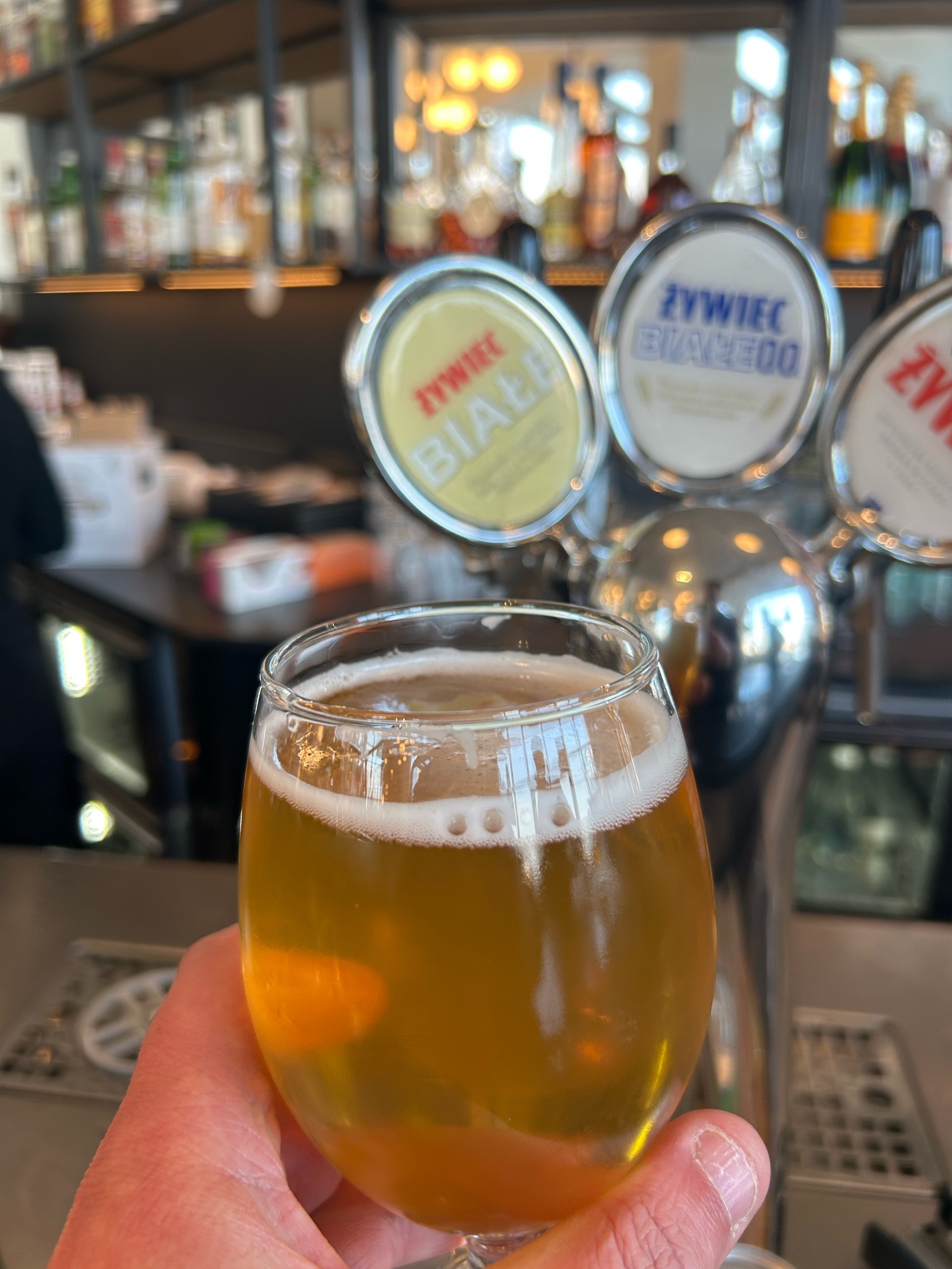 Żywiec Białe, Poland