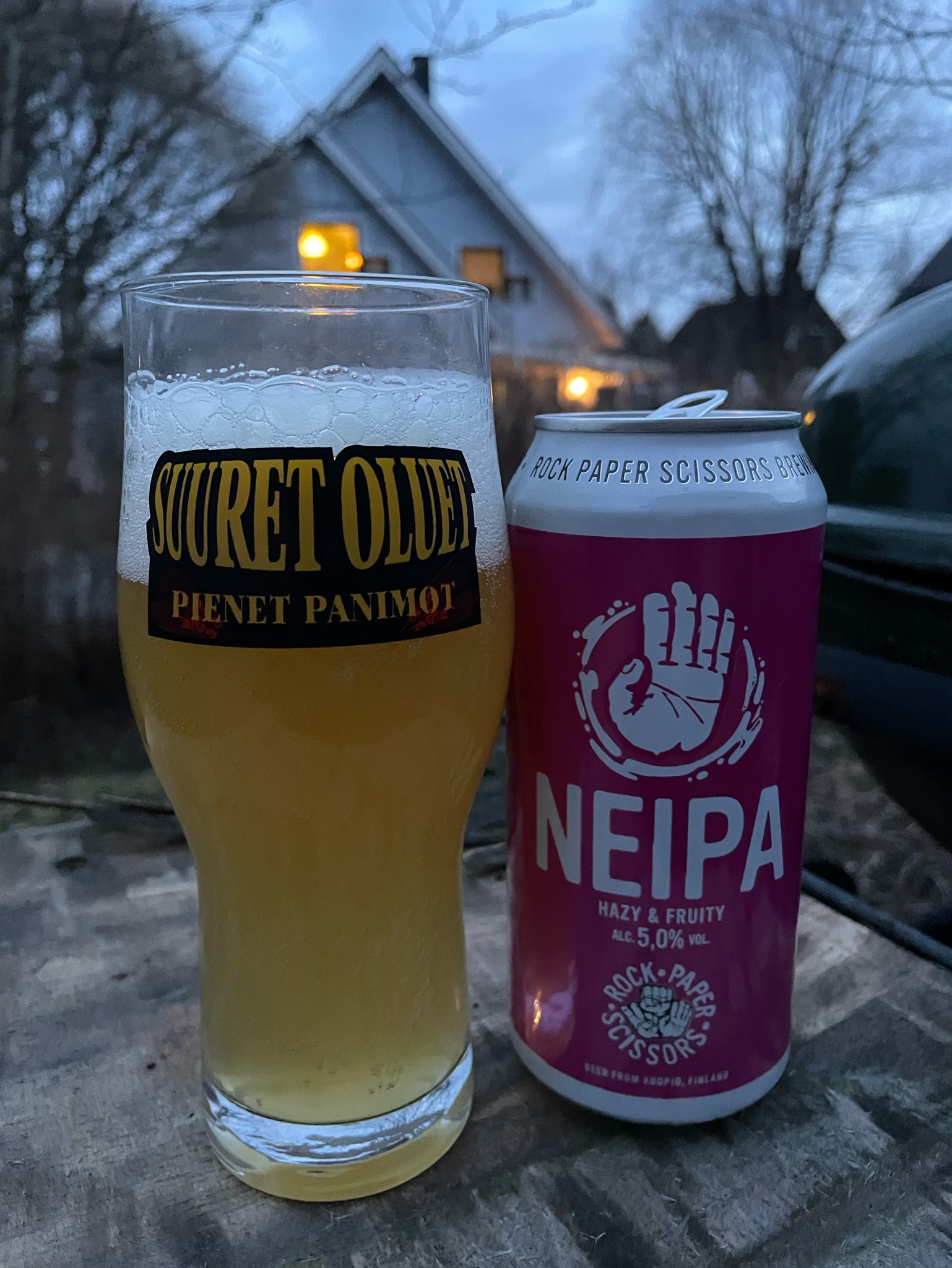 Paper NEIPA, Finland