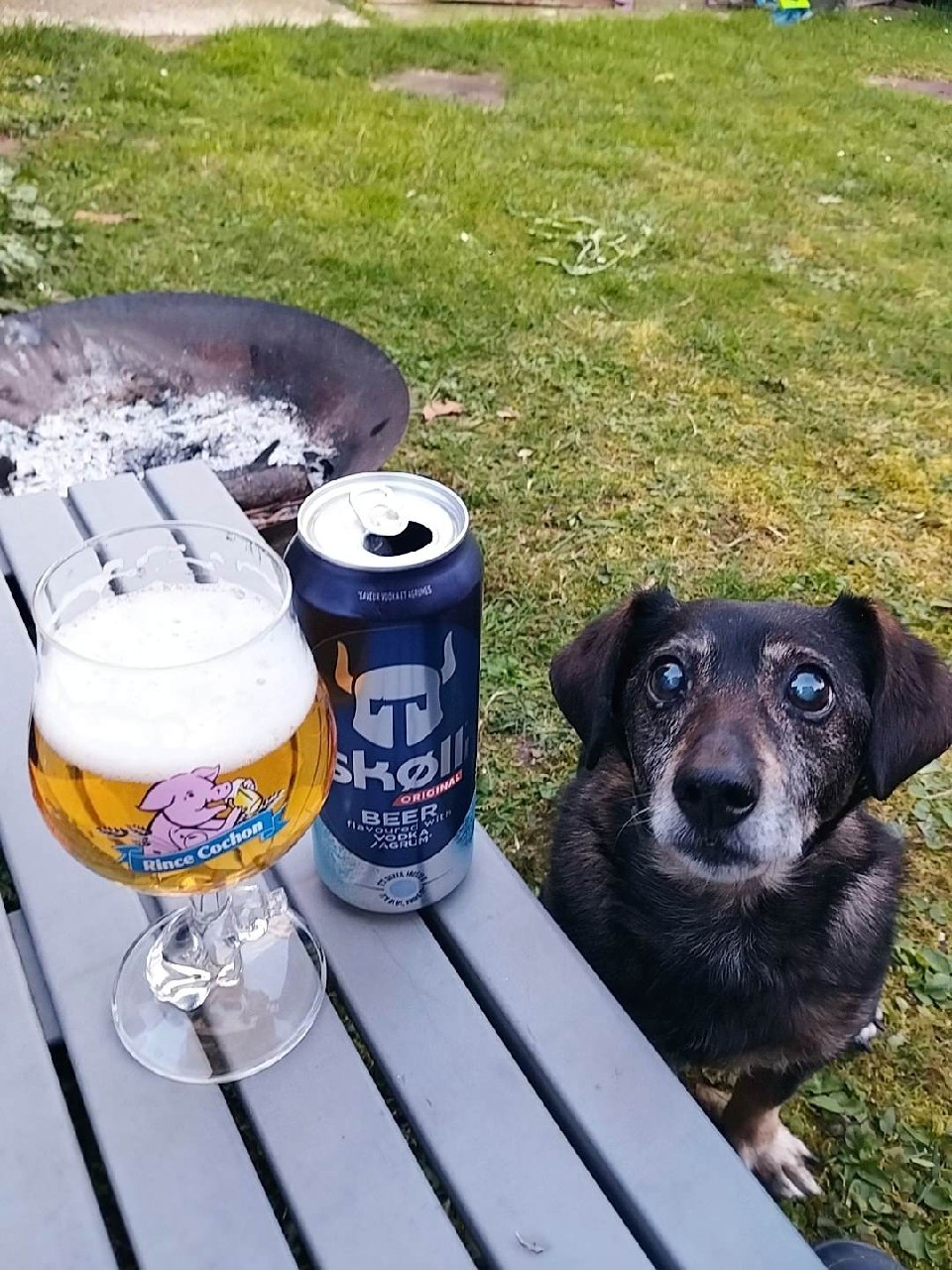 Tuborg Skøll, Denmark