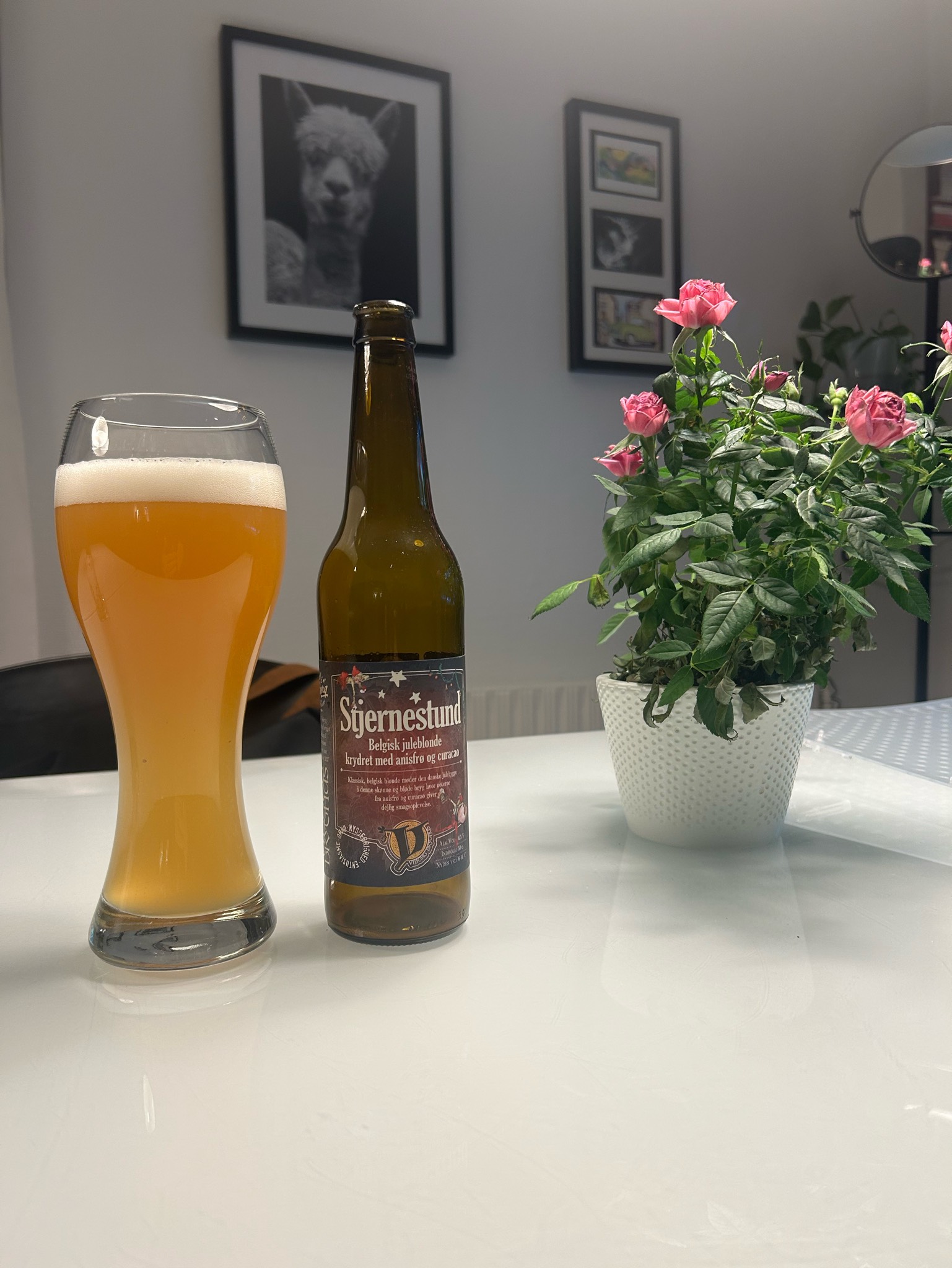 Stjernestund, Viborg Bryghus