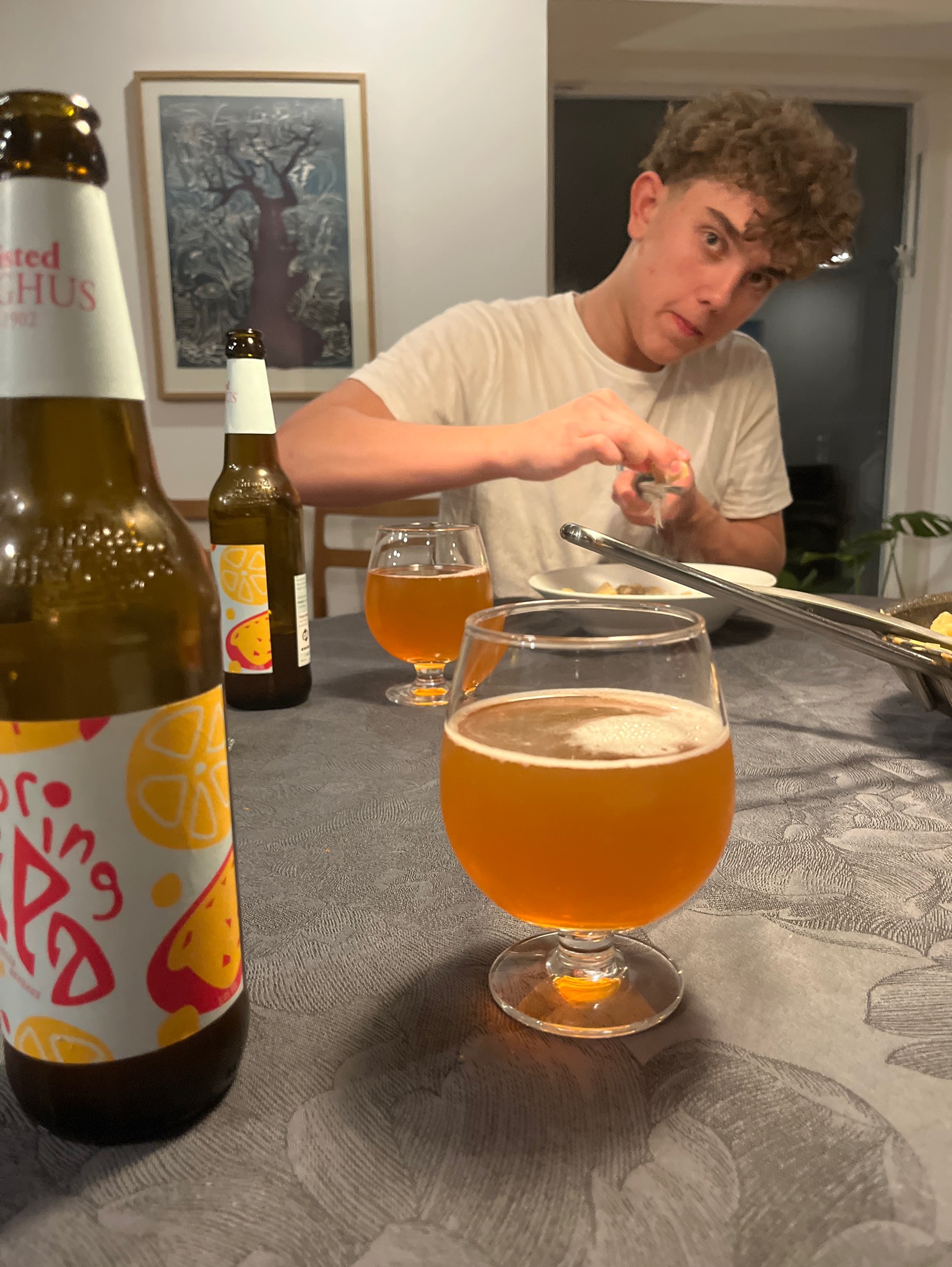 Spring IPA, Thisted Bryghus