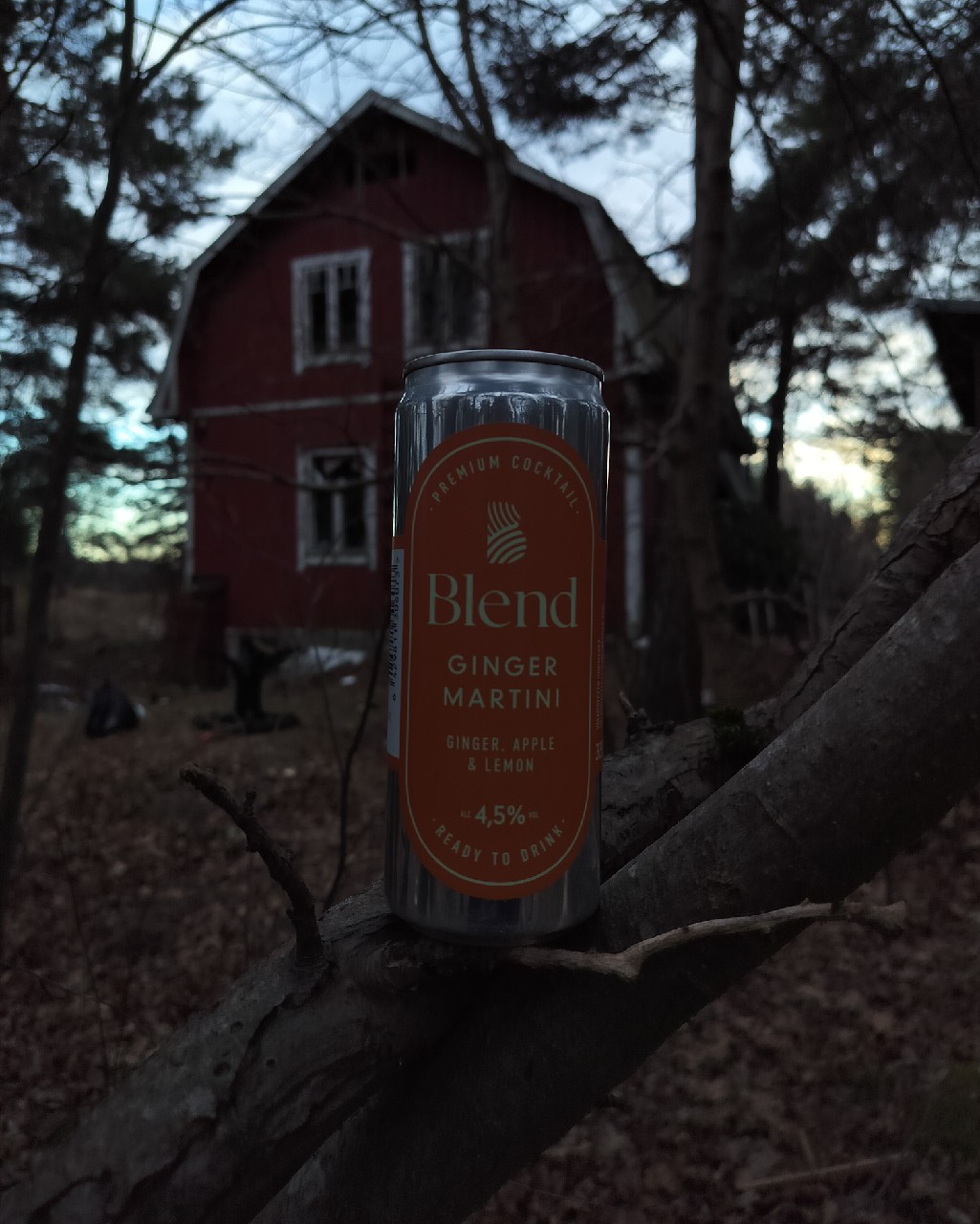Blend Ginger Martini, Blend Beverages