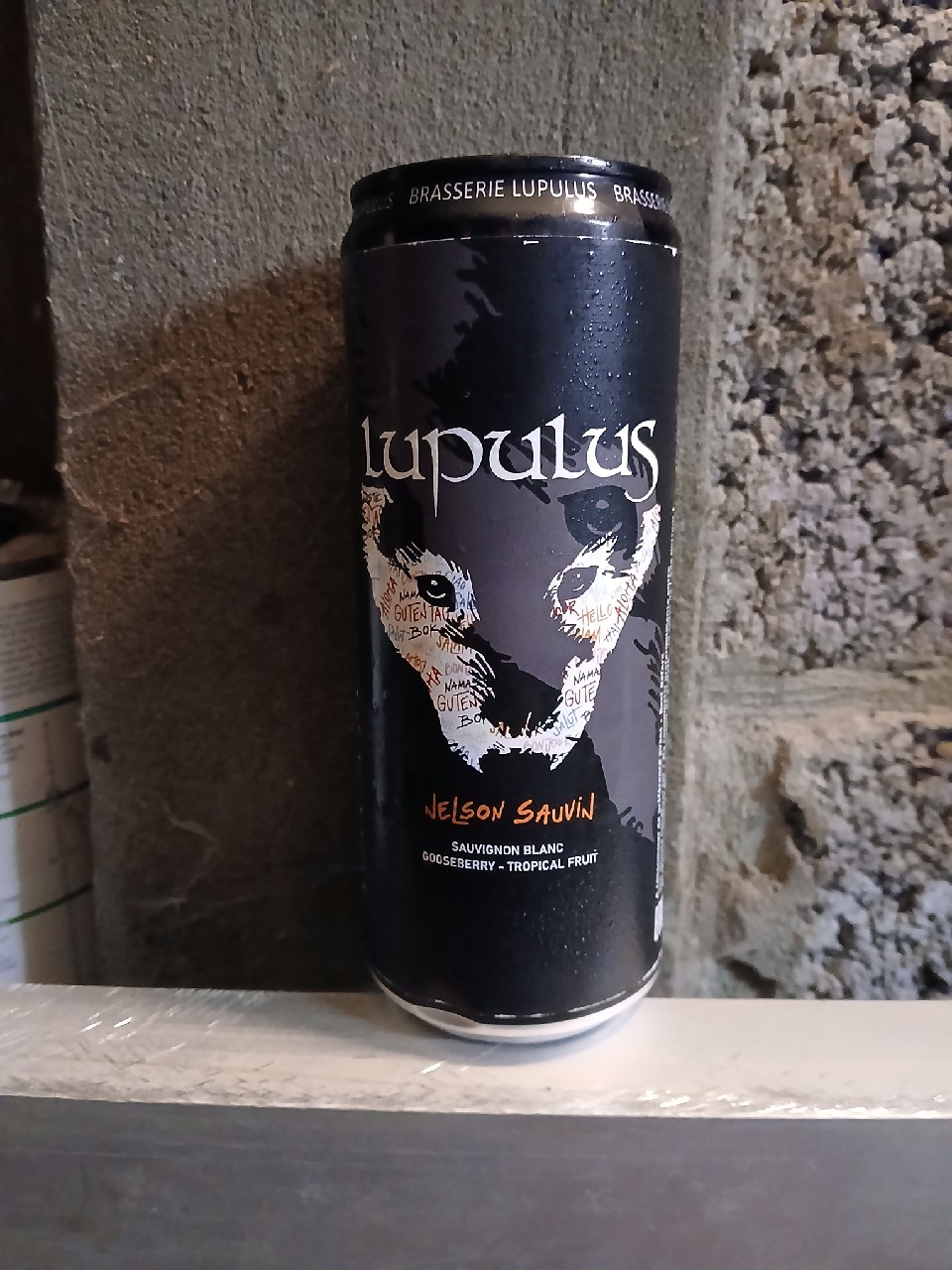 Lupulus 2025 Nelson Sauvin, Belgium