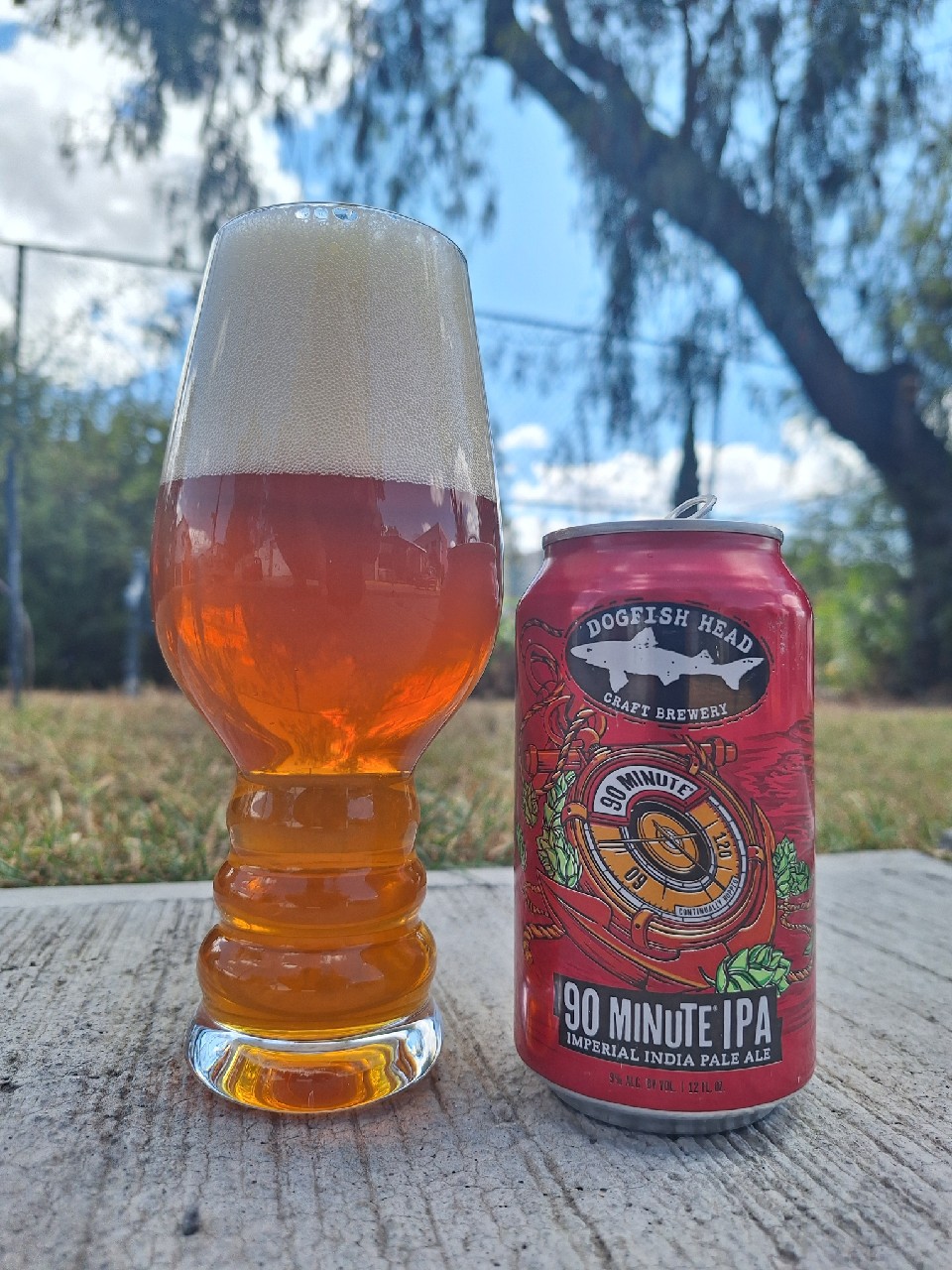 90 Minute IPA, Dogfish Head Craft Brewery