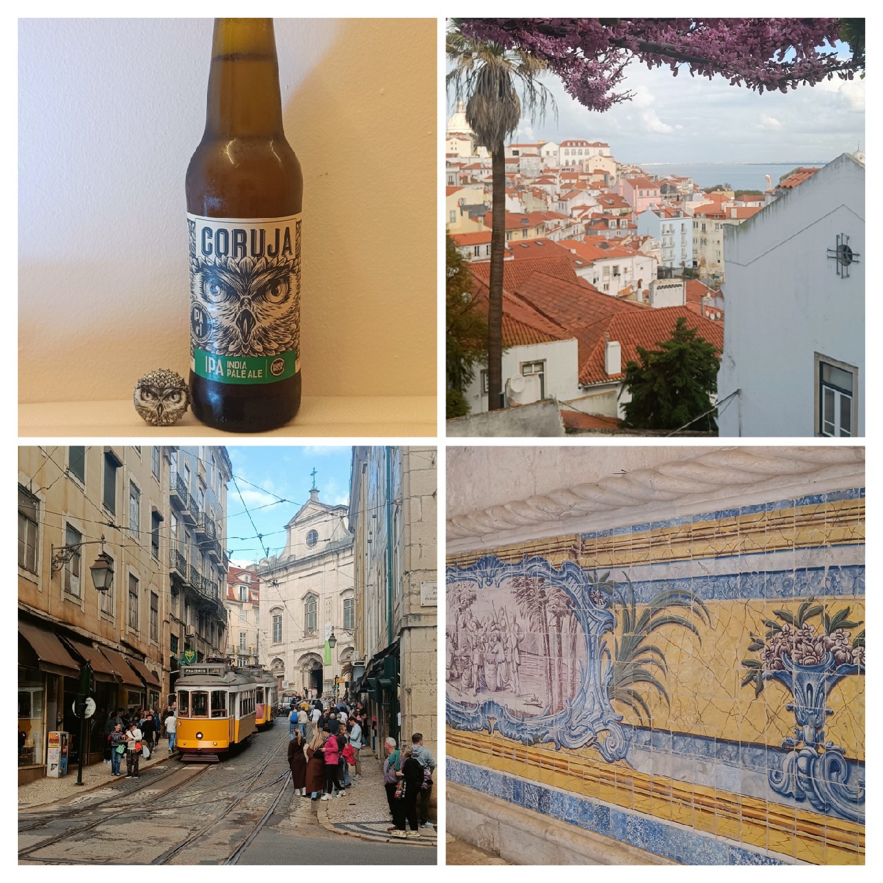 Coruja IPA, Portugal