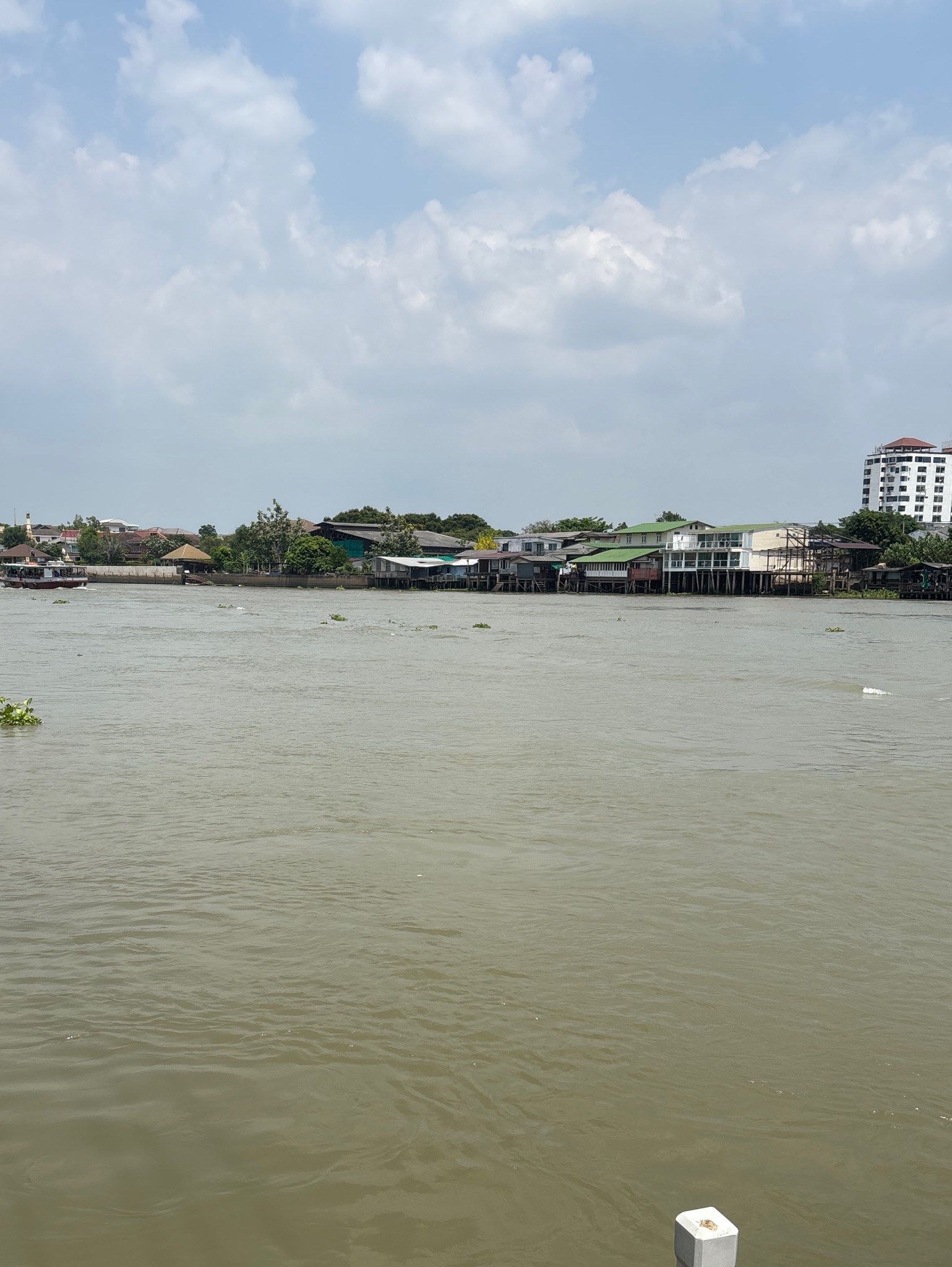 Cologne Kolsch, Chitbeer