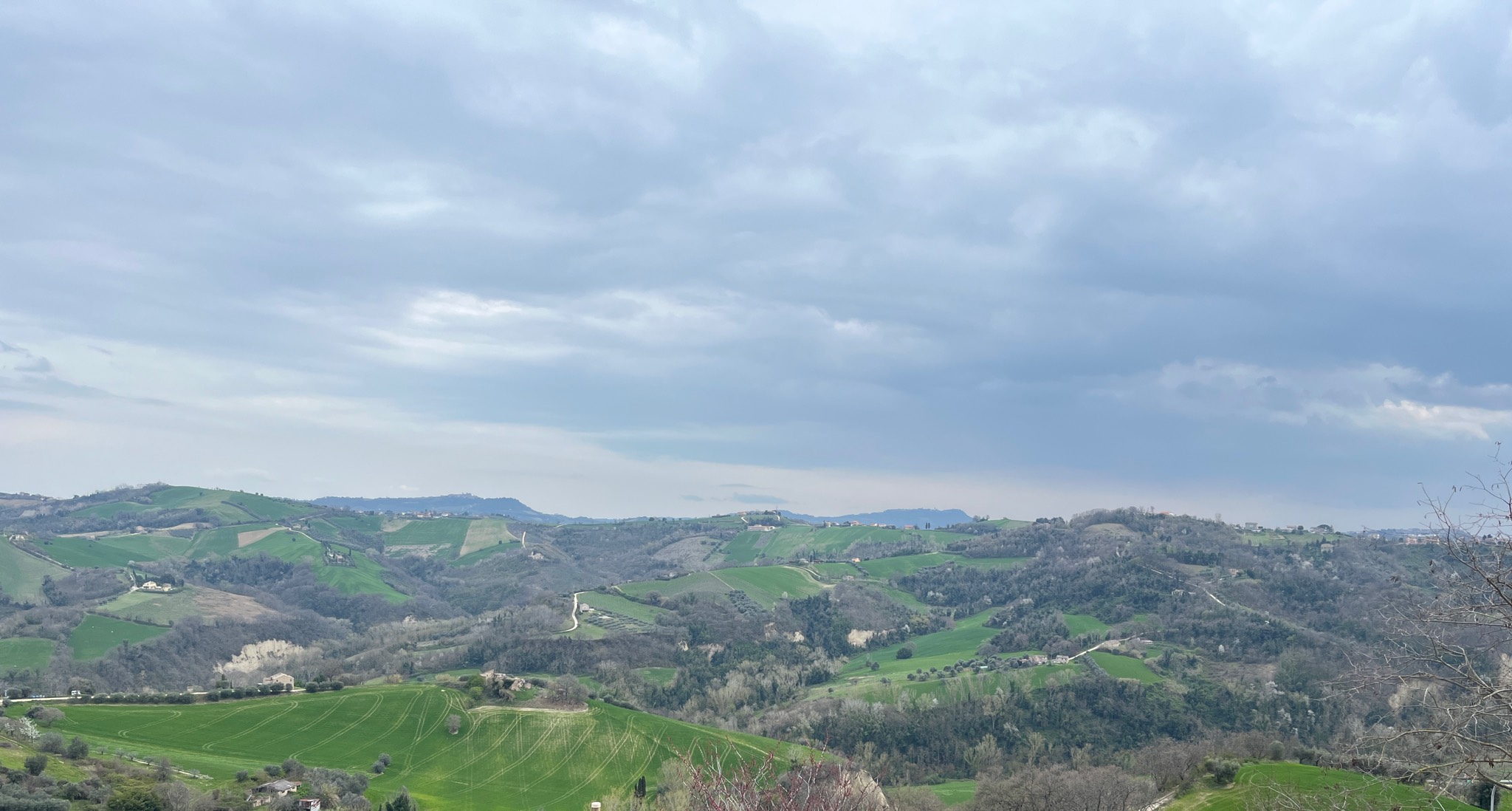 Cotta 37, Italy