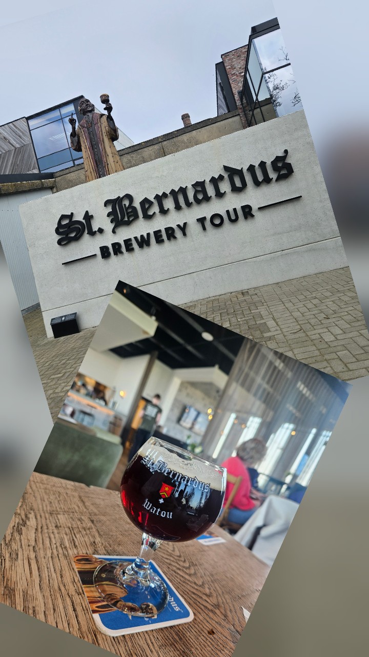 St. Bernardus Abt 12, Belgium