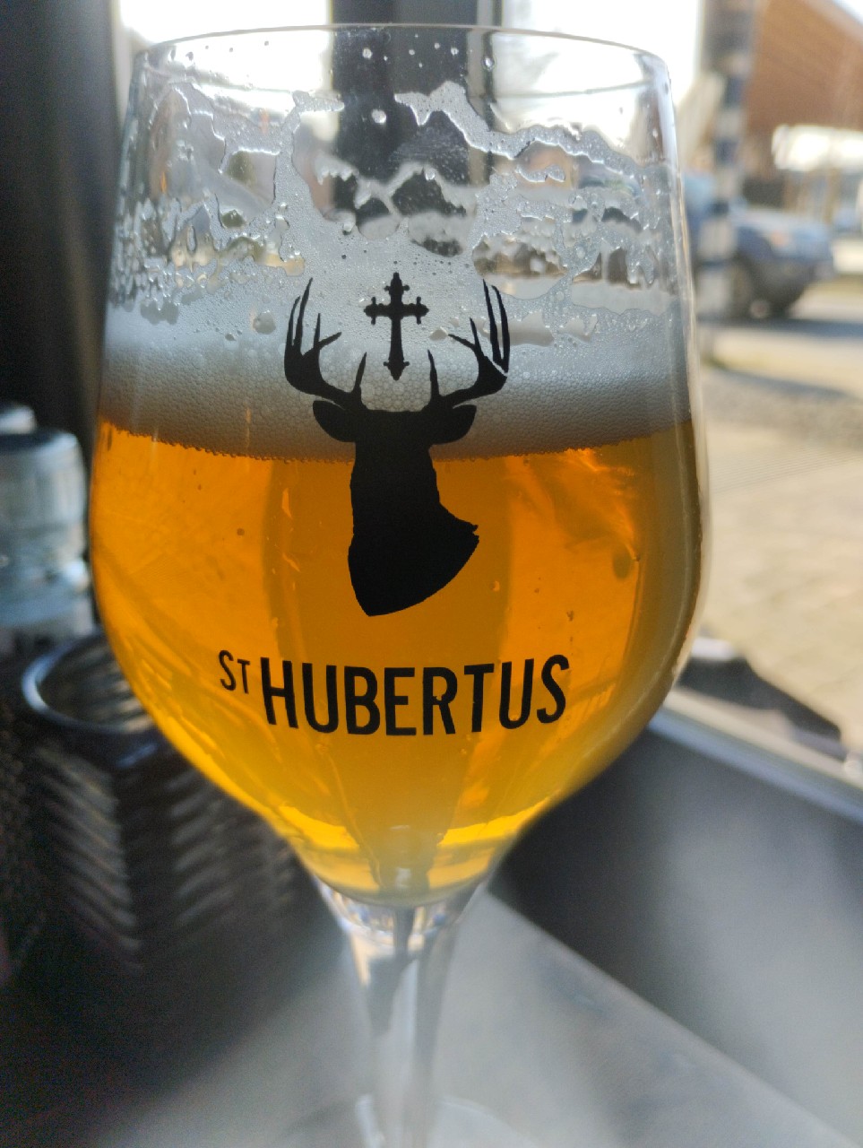 Triple Hop Citra, St. Hubertus (Carlsberg Group)