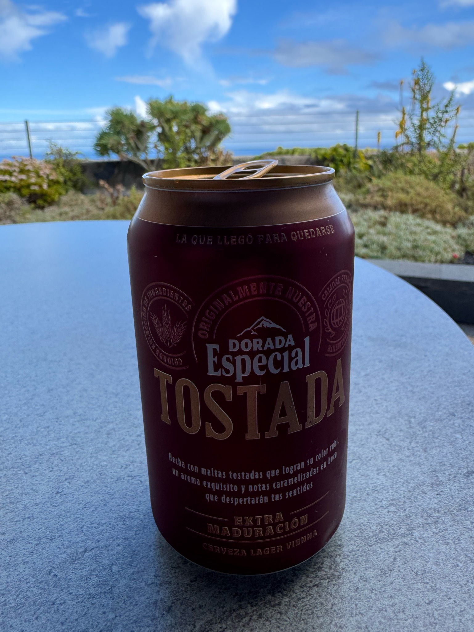 Dorada Especial Tostada, Spain