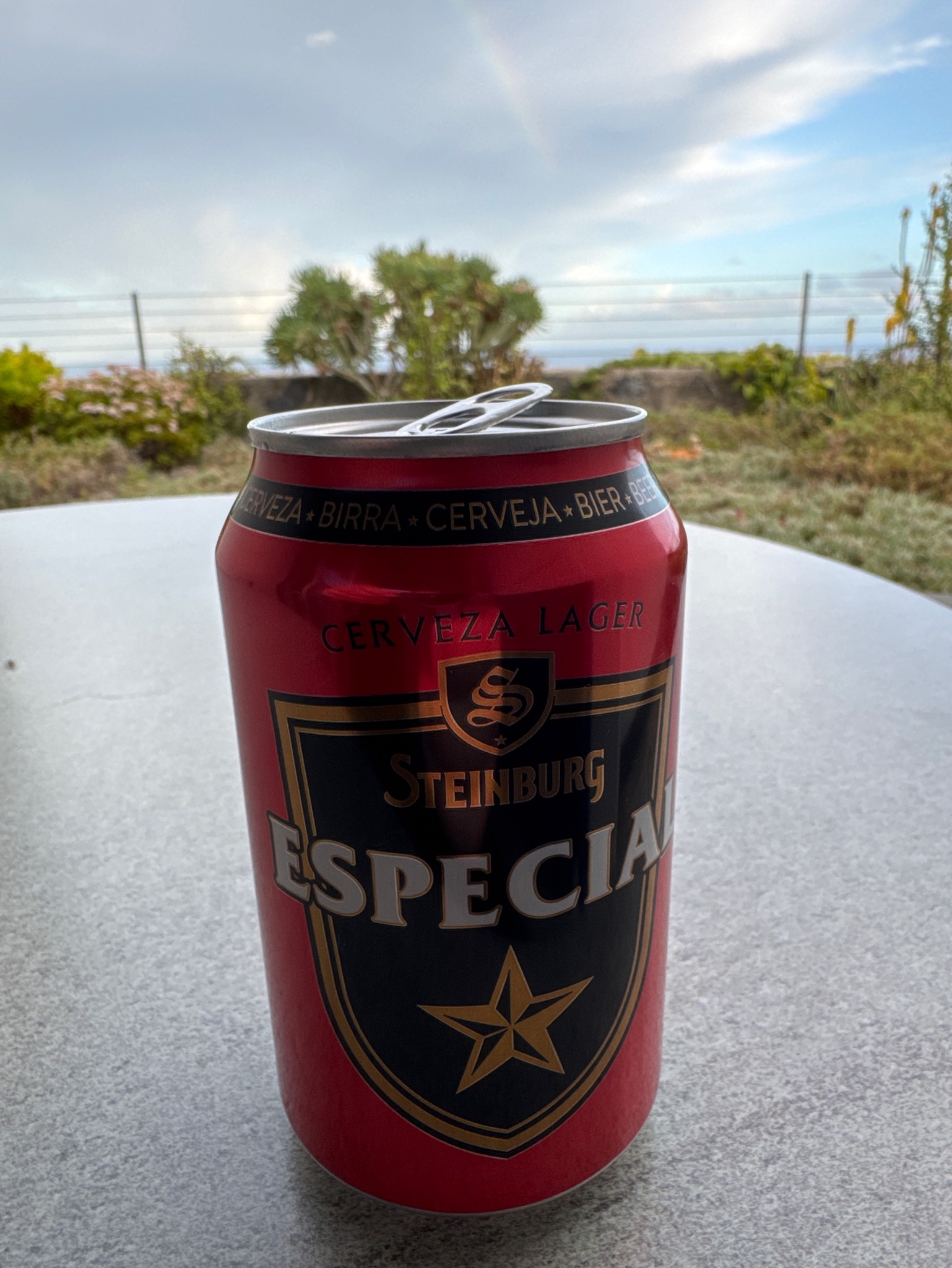 Steinburg Especial, Spain