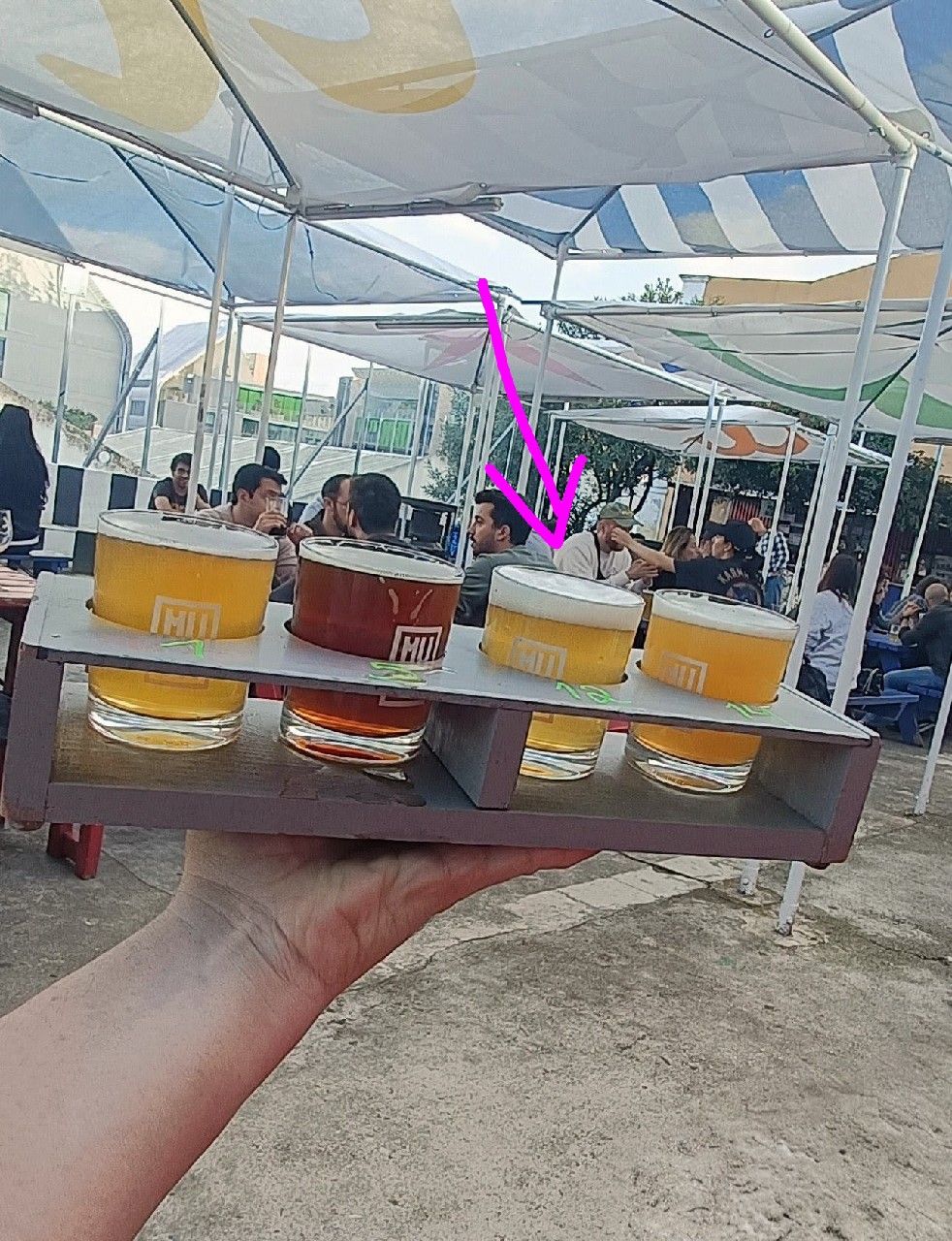 Eu Não Vou ChorIPA, Cerveja Musa