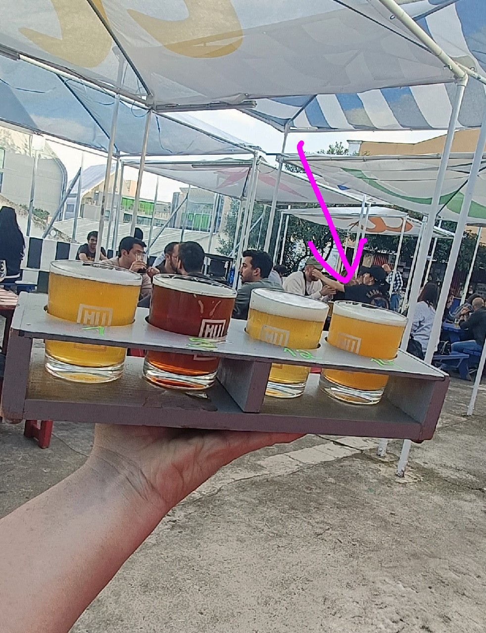 Cold Cold Xmas, Cerveja Musa