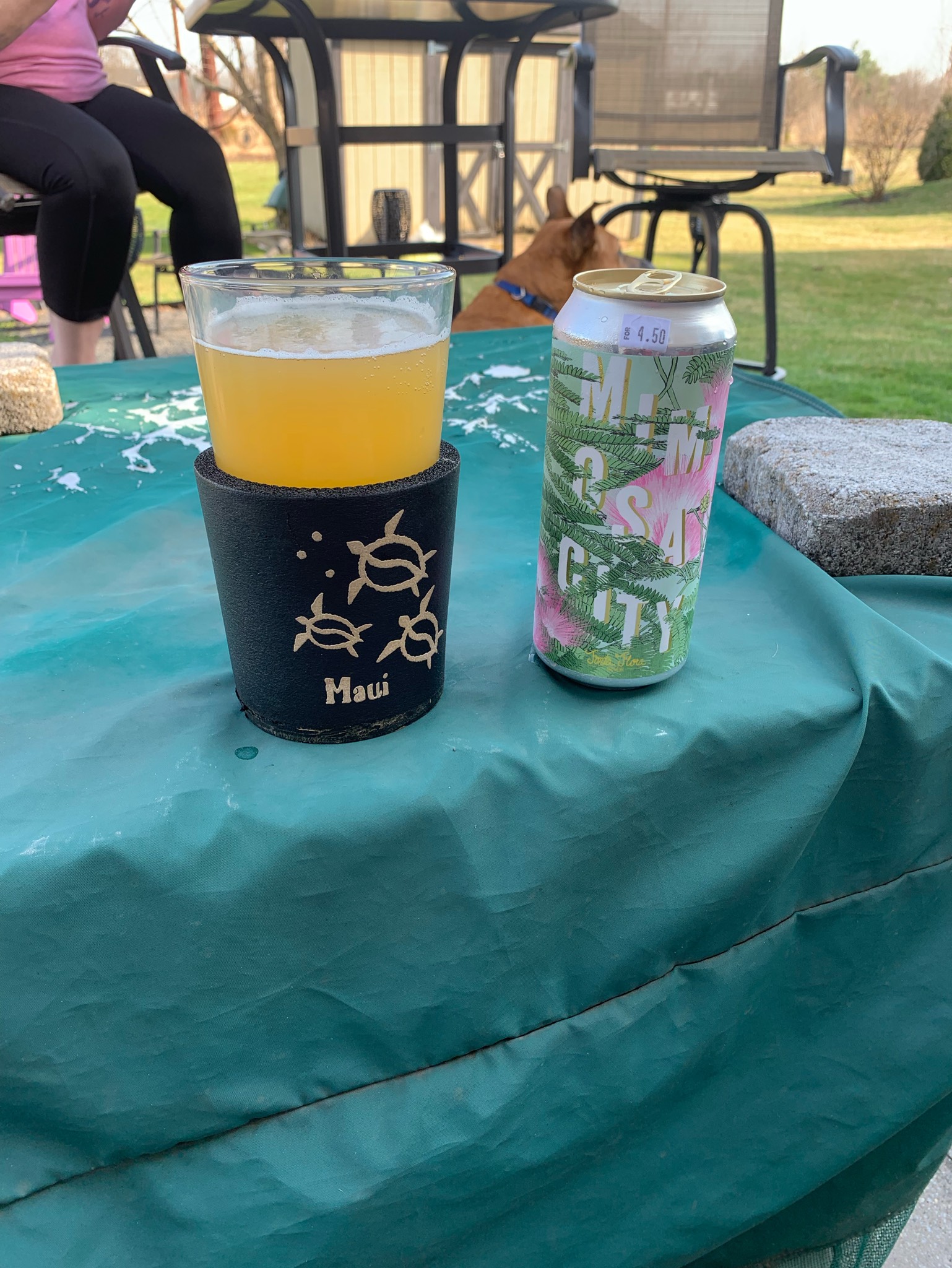 Mimosa City, Fonta Flora Brewery