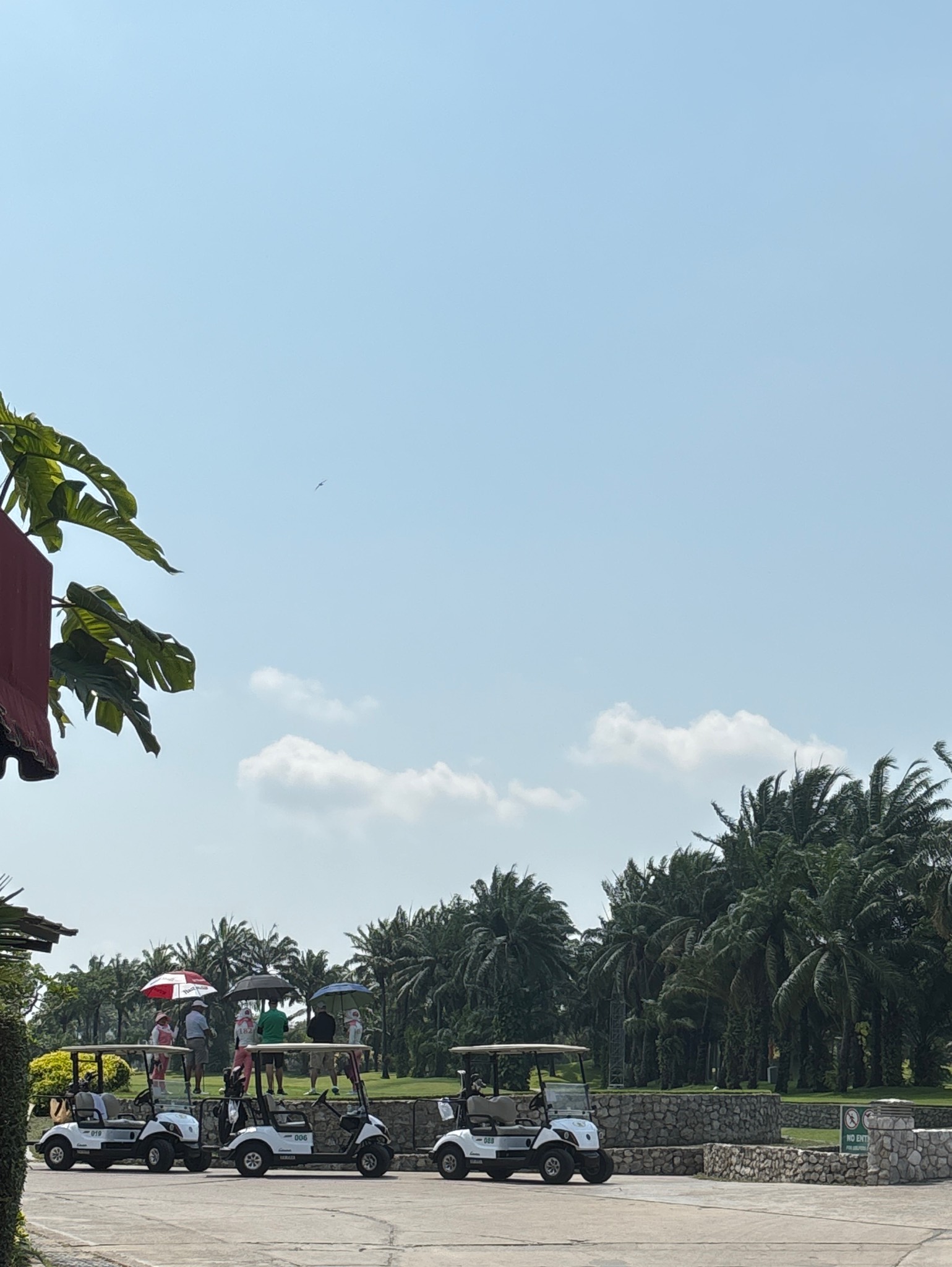 Paulaner Hefe-Weißbier Naturtrüb / Weissbier / Hefe-Weizen, Germany