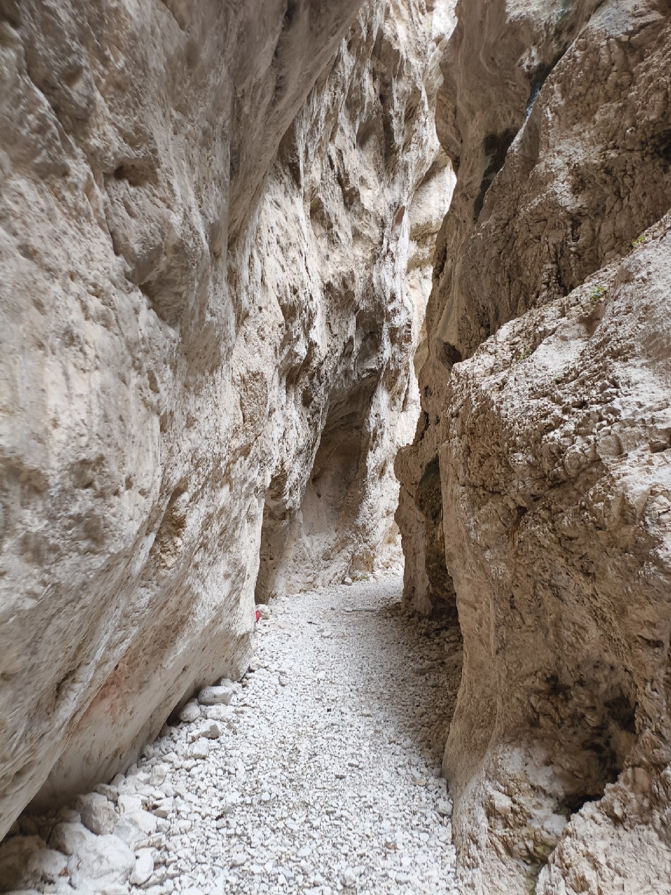 Finkbräu Lager, Germany