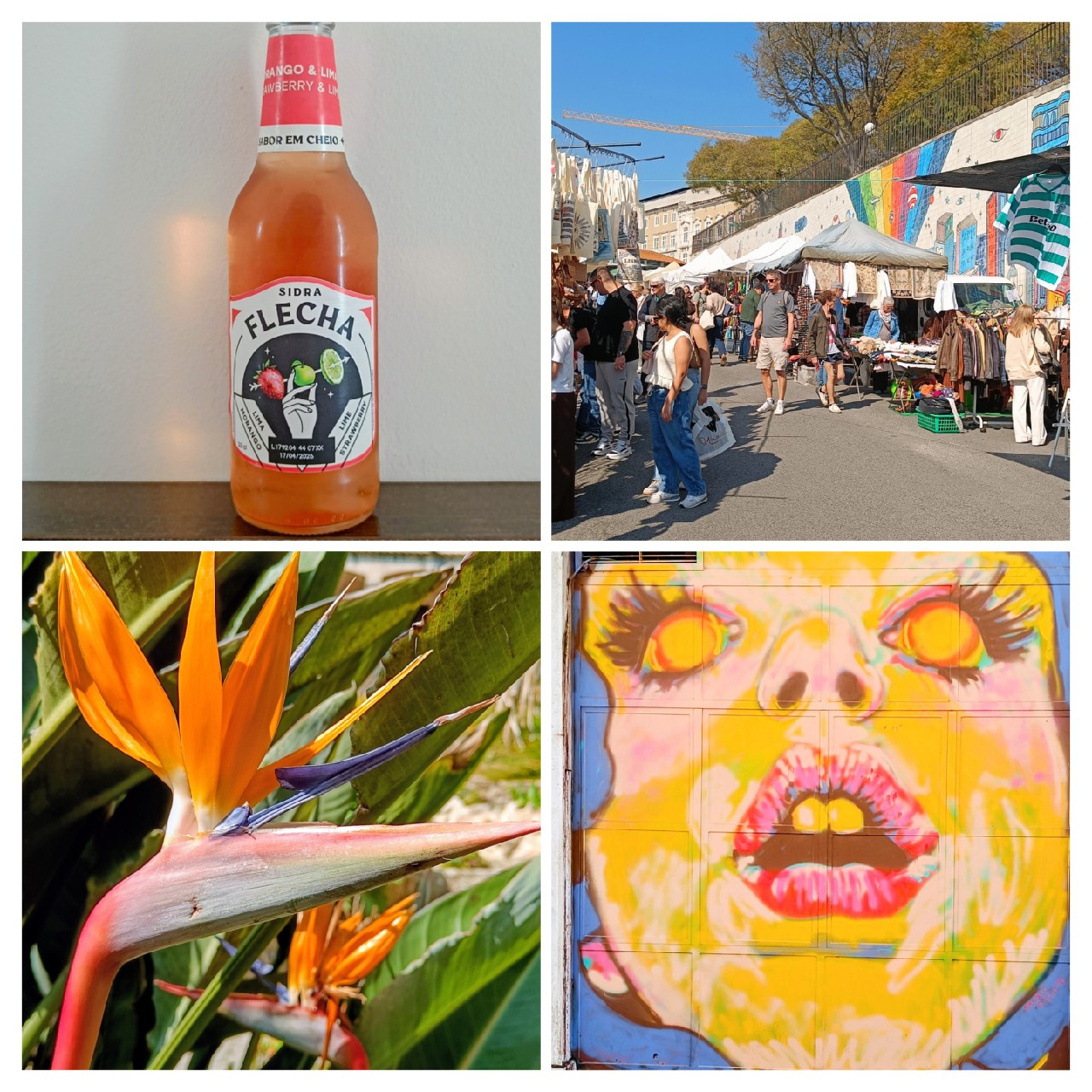 Sidra Flecha: Morango & Lima, Continente