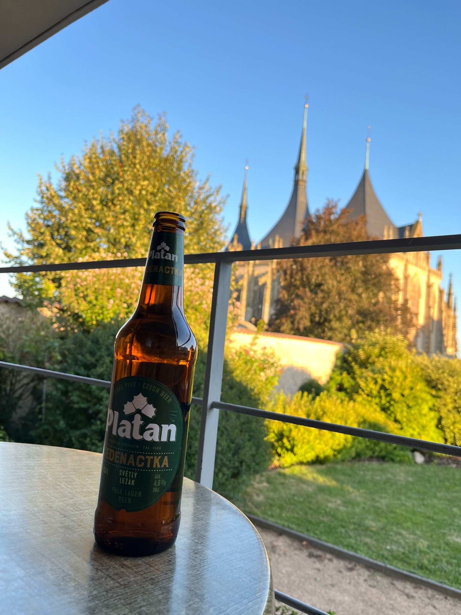 Platan Jedenáctka 11°, Pivovar Protivín