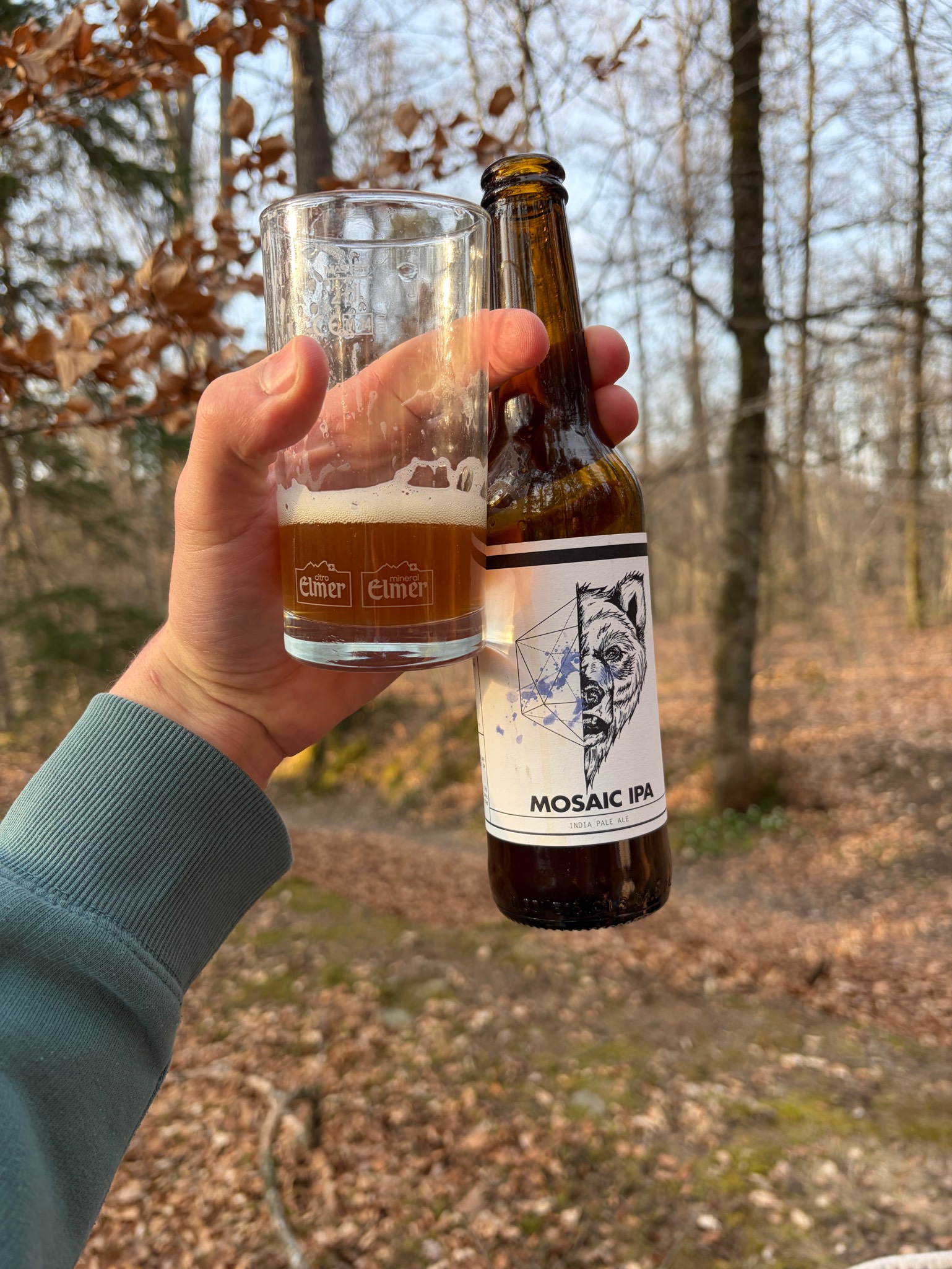 Mosaic IPA, Brasserie BLZ Company