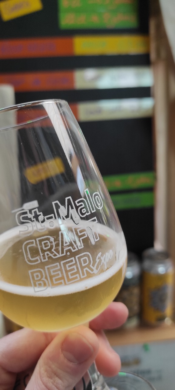 Tout de Gose, Origines Bistro-Microbrasserie