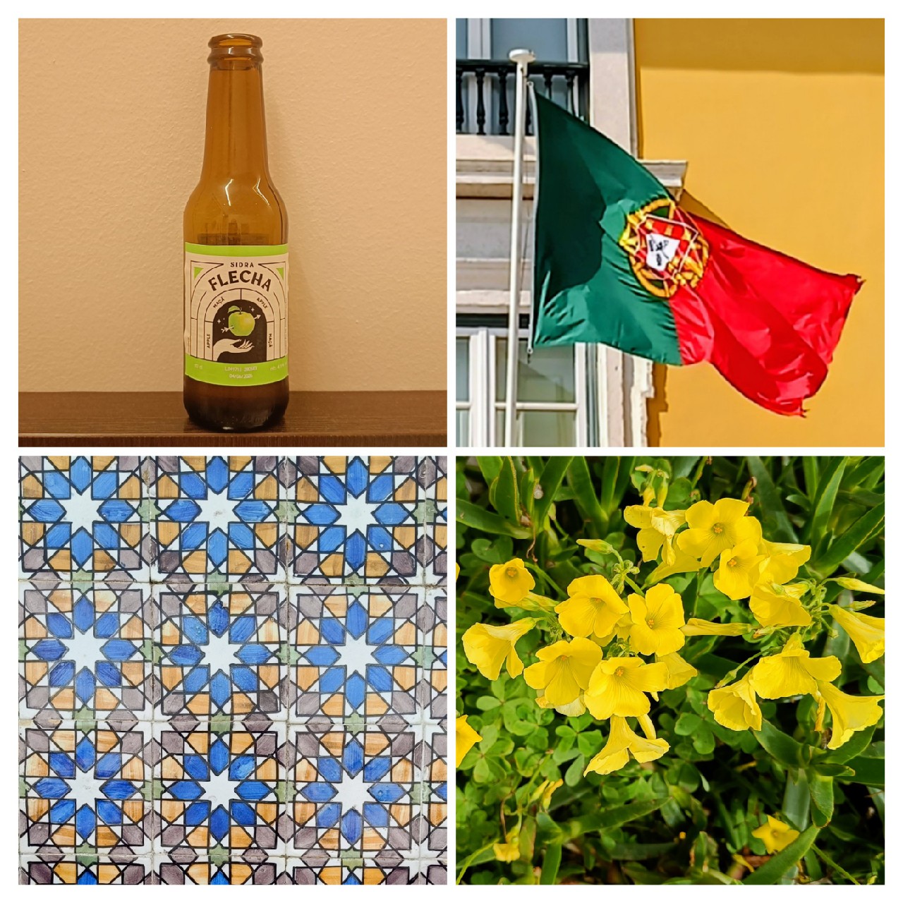 Sidra Flecha: Maça, Continente