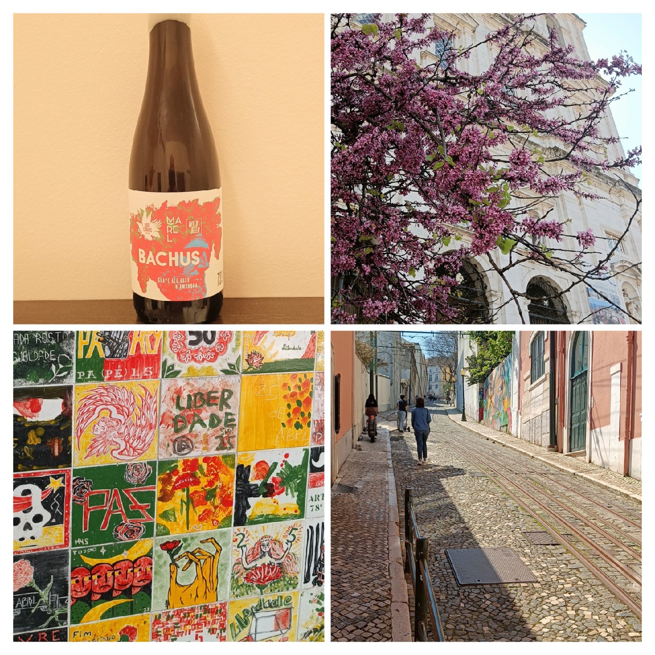 Bachus: Grape Ale Aged in Amphora, Portugal