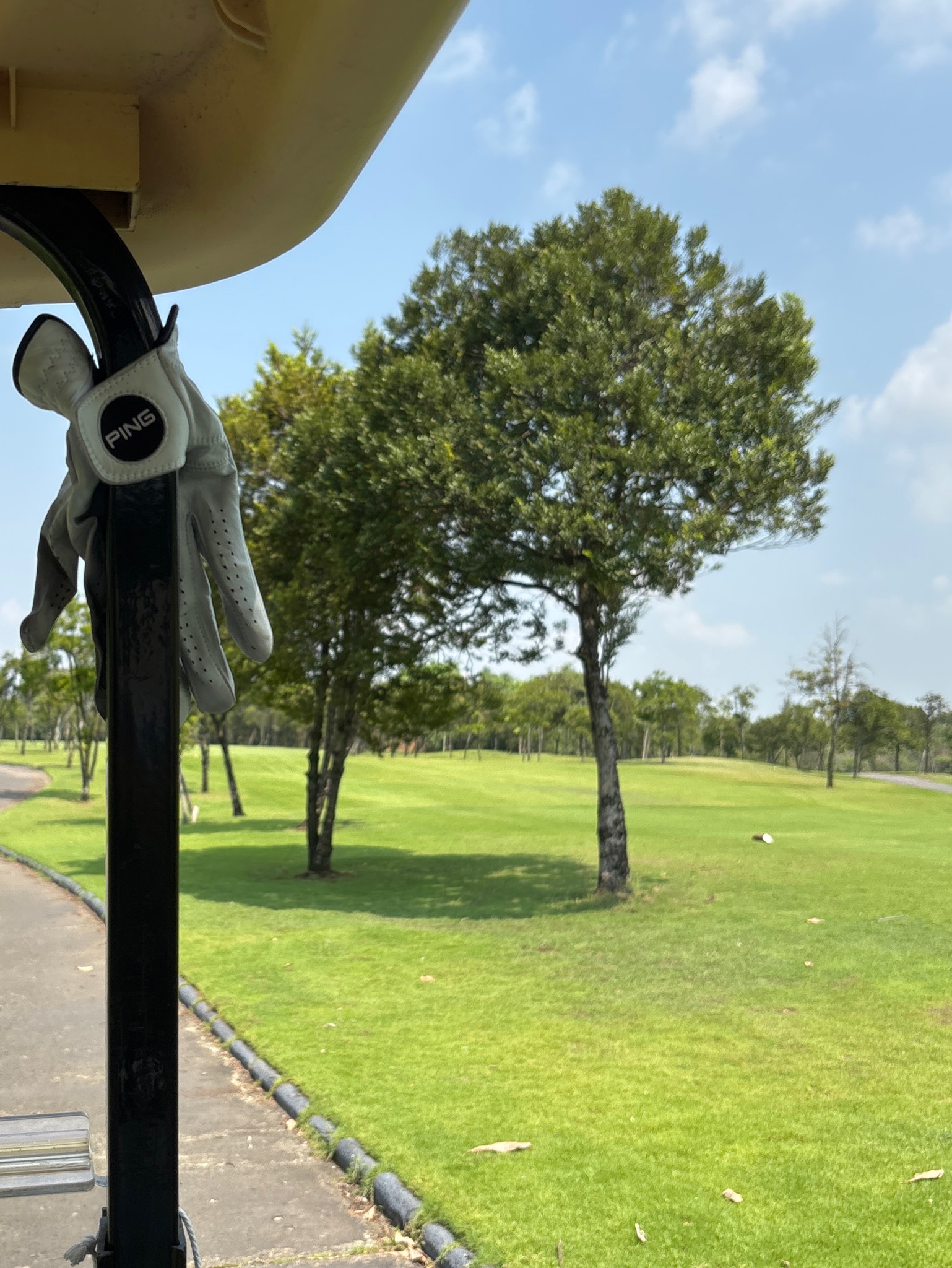 Carabao Lager Beer, Tawandang German Brewery