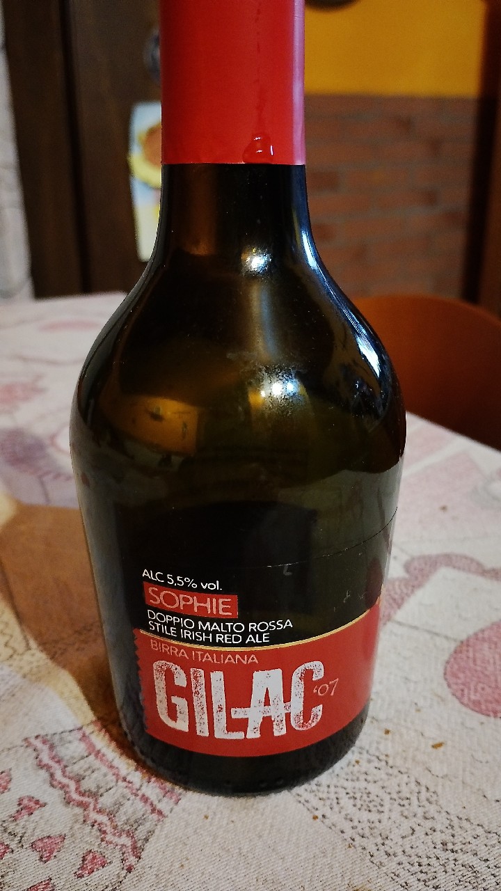 Gilac Sophie, Gilac Srl