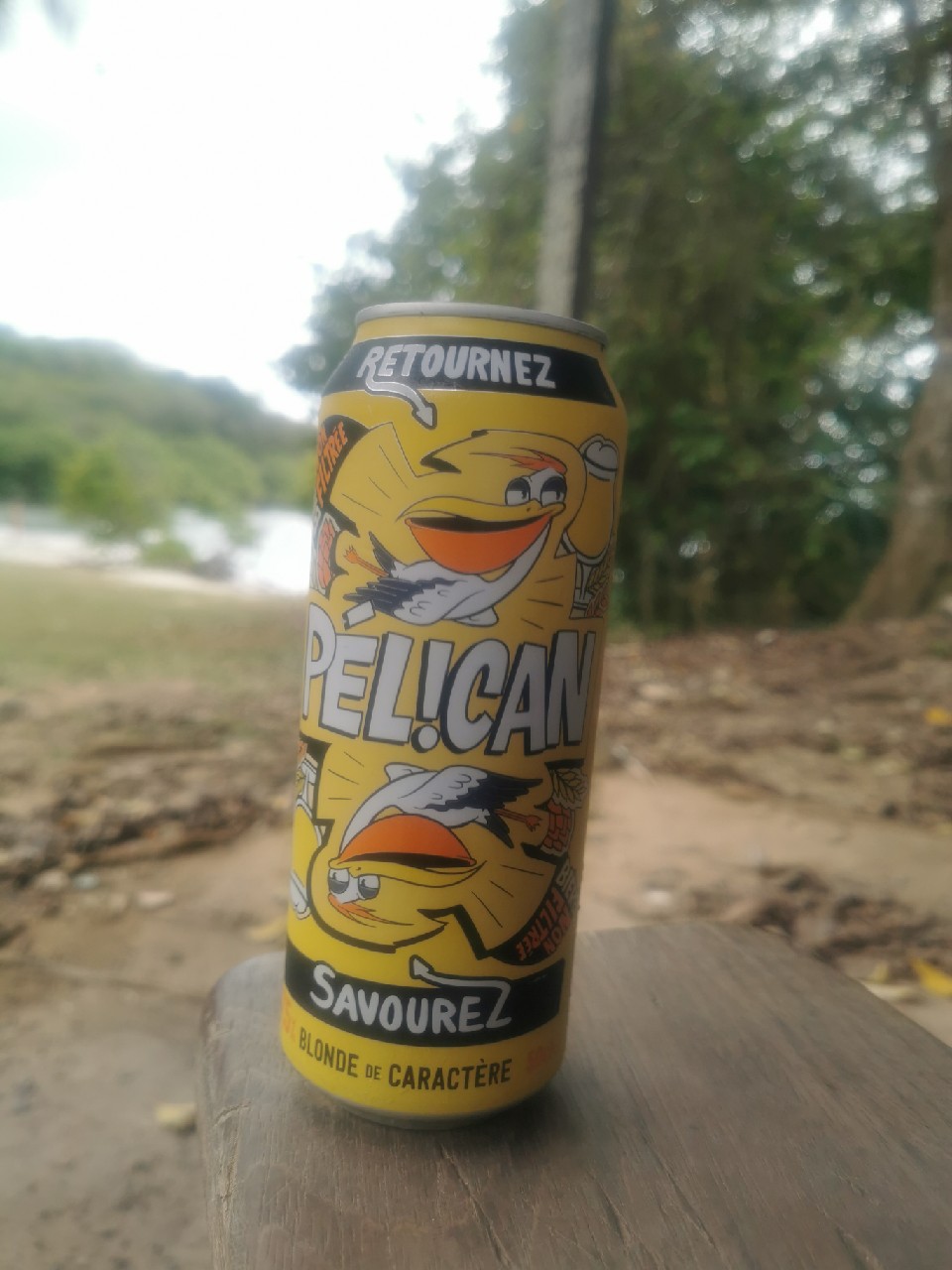 Pélican Blonde, Heineken France