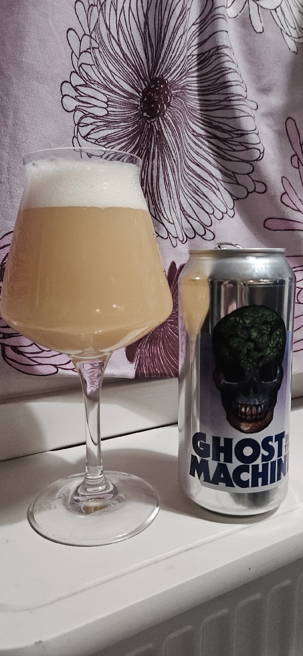 Ghost in the Machine (Freaky Friday), Sweden