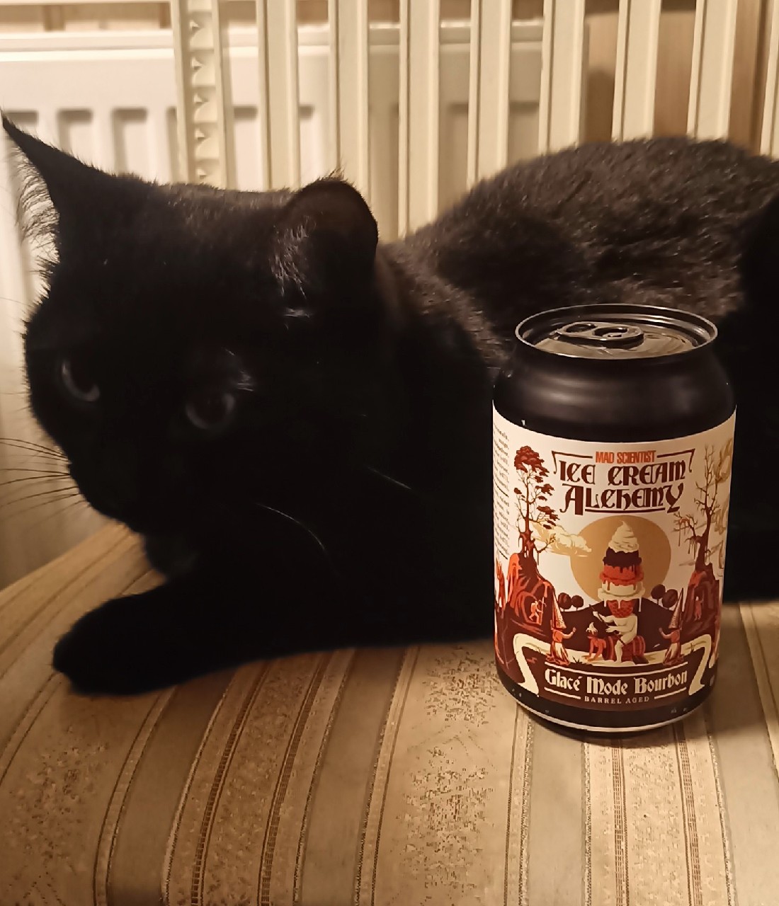 Ice Cream Alchemy Glacé Mode Bourbon, Mad Scientist